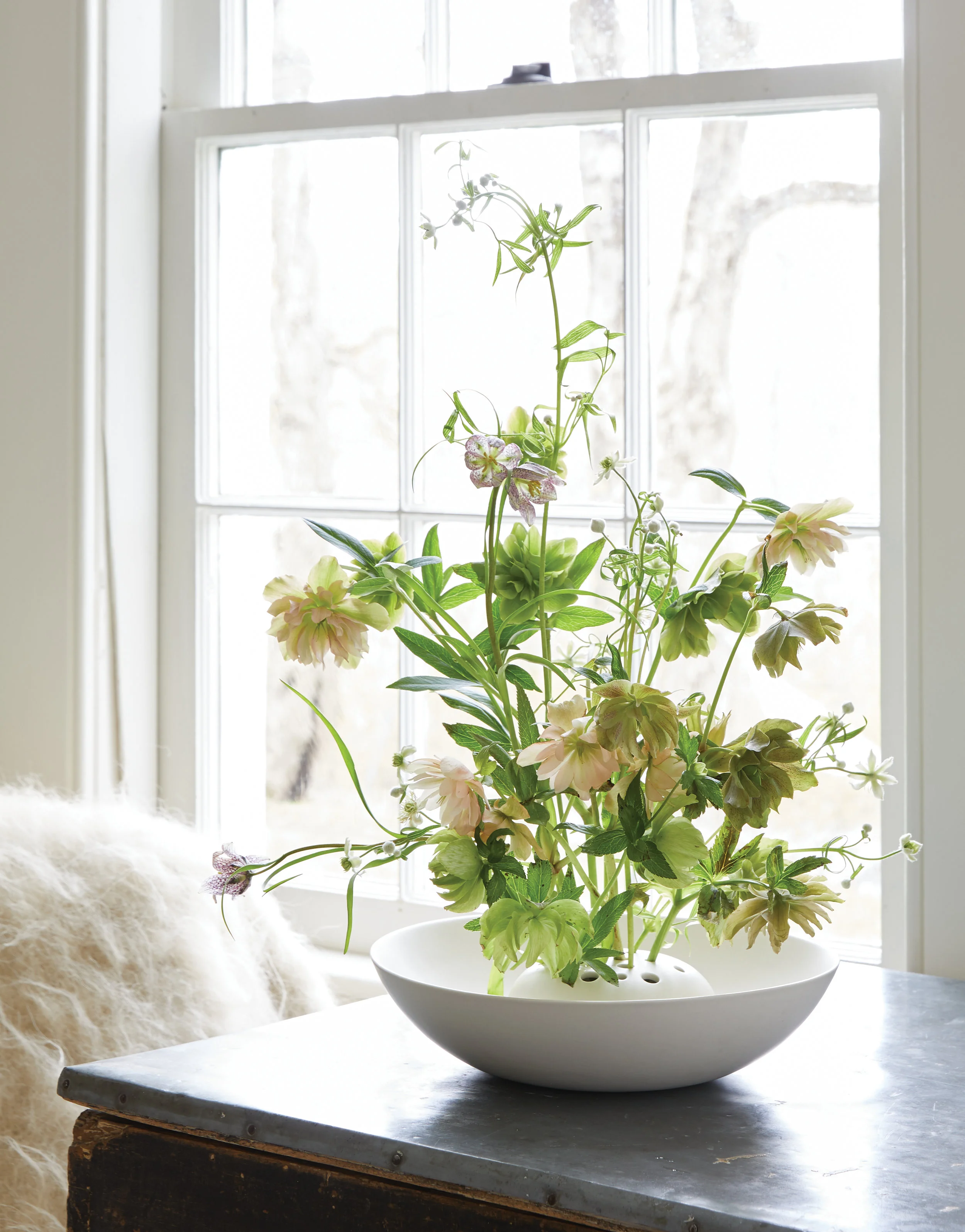 sierra steifman nyc art director photographer lifestyle editorial kate sears upstate the floral society white ceramic flower frog combo bowl design arrangement floral design interiors