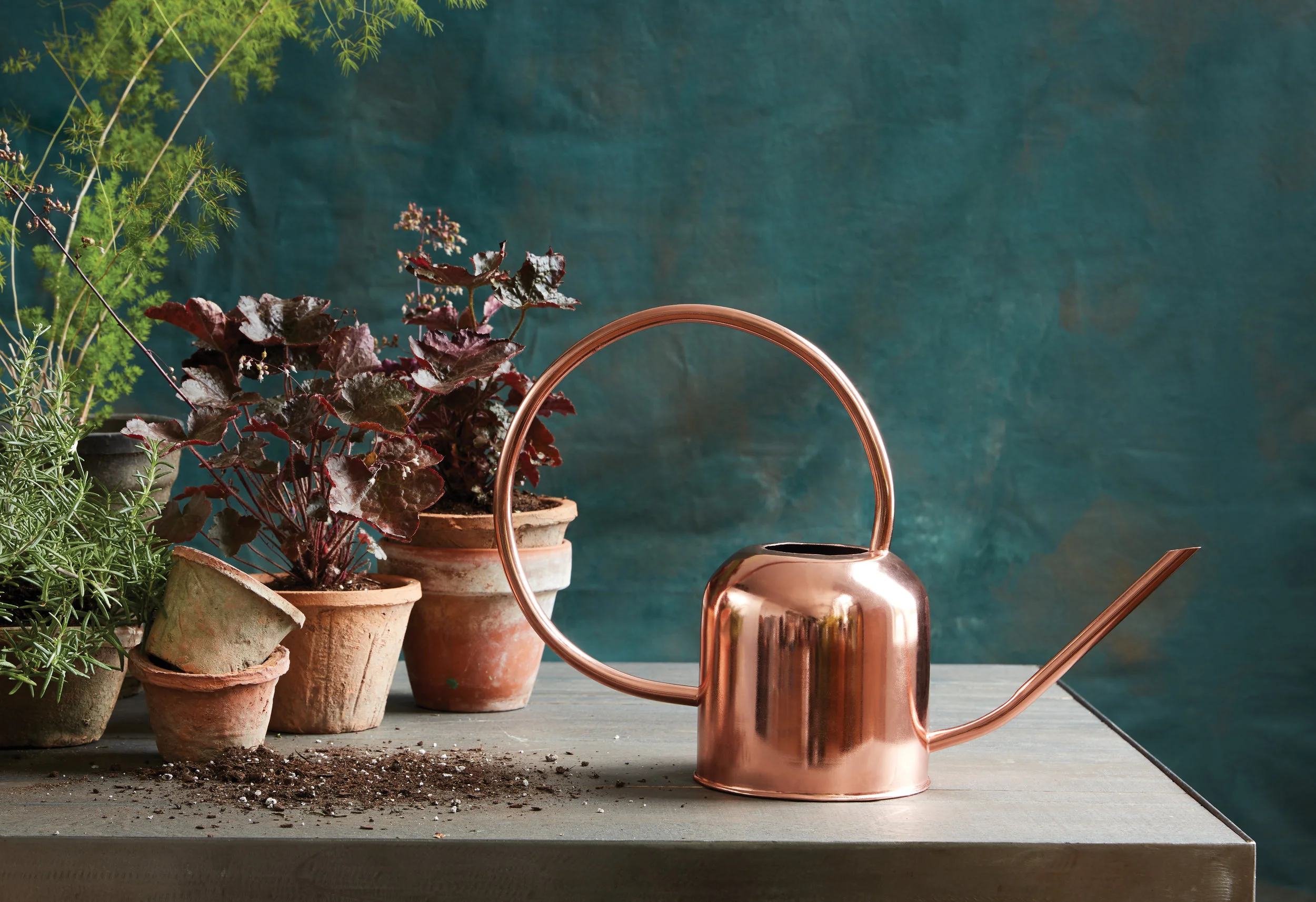 editorial sierra steifman nyc art director photographer the floral society copper watering can design potted plans table teal canvas backdrop green plant gardening seasonal plan spring