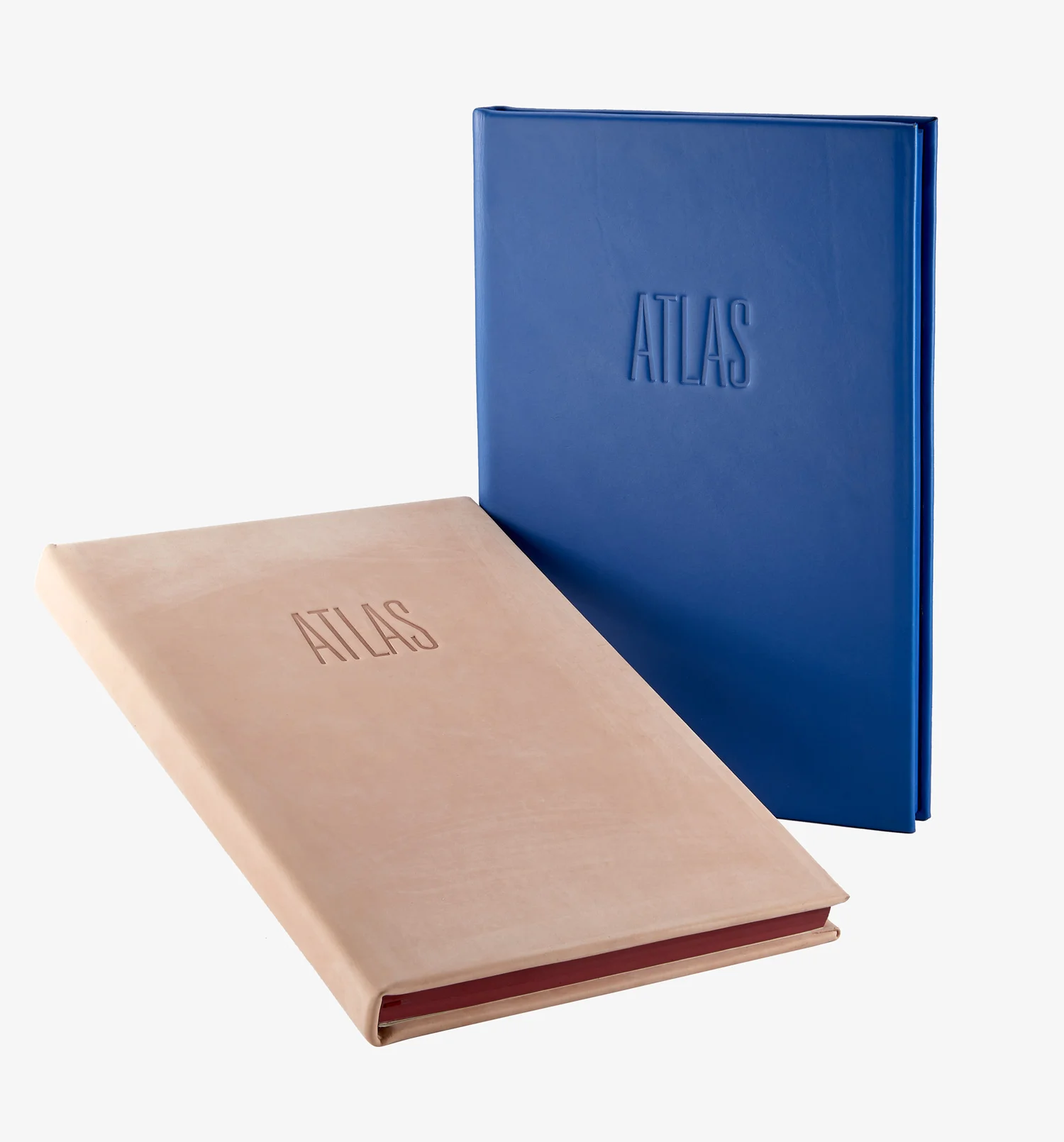 nyc designer graphic image x A/M Aesthetic Movement New York leather recovered books atlas nude blue blind deboss