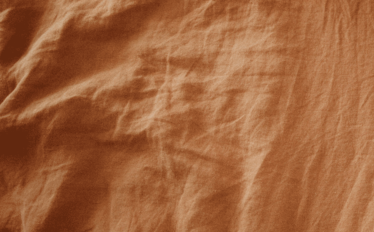 birdie behind the lens logo design animation white logo sheets rust linen graphic designer typography nyc