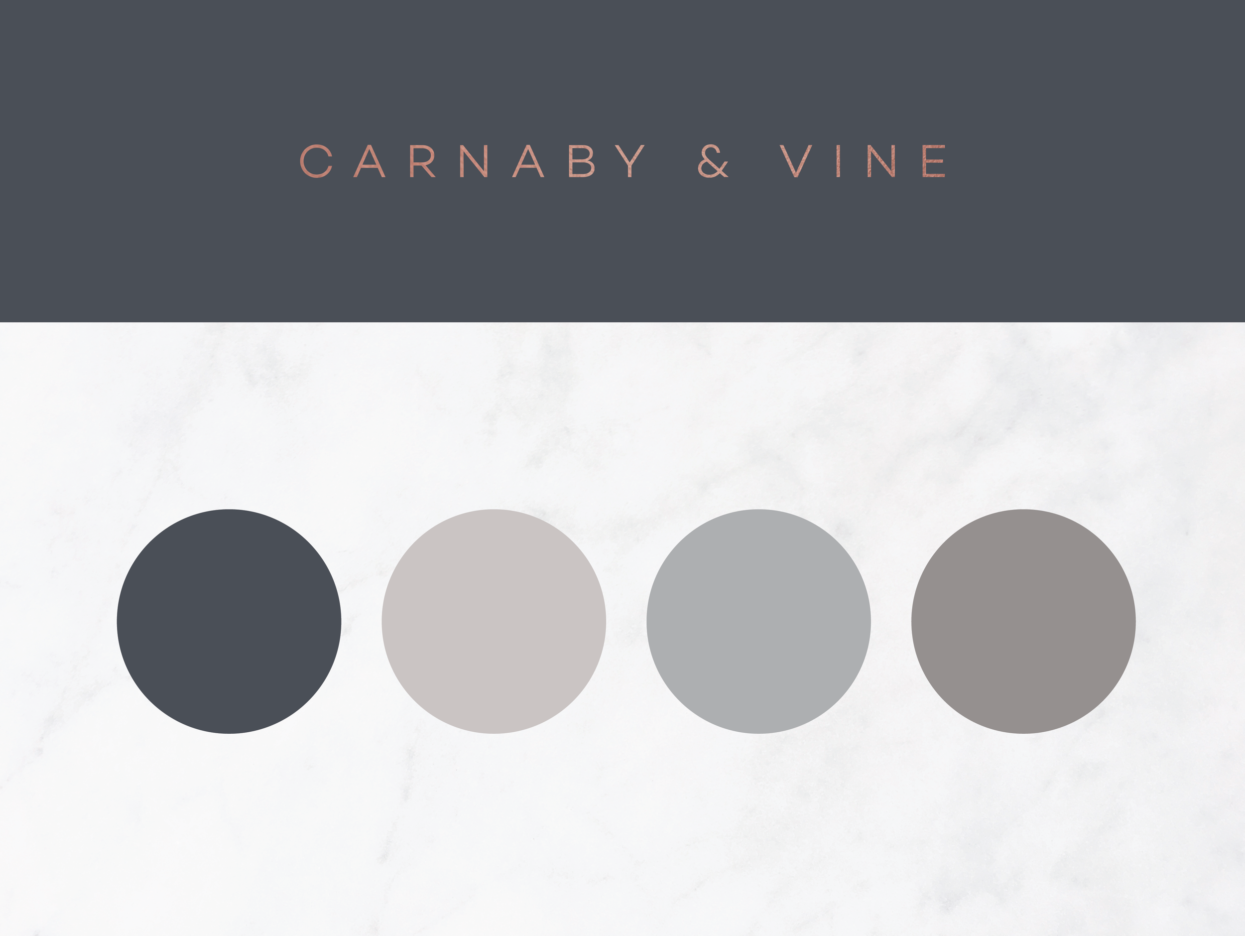 CV_colorpalette_materials_R1_formywebsite.png