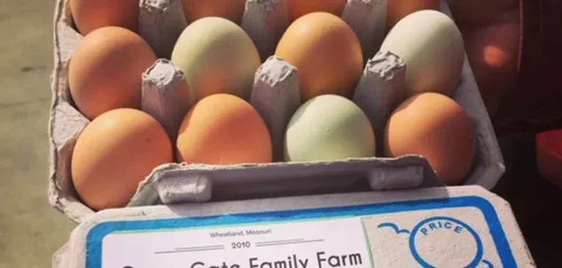 eggs.jpg