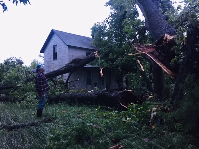 Weathering the Storm