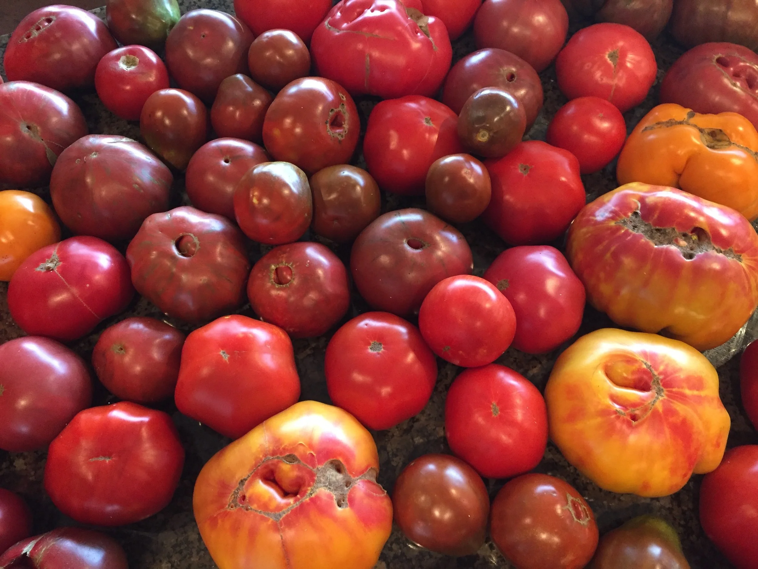 produce.JPG