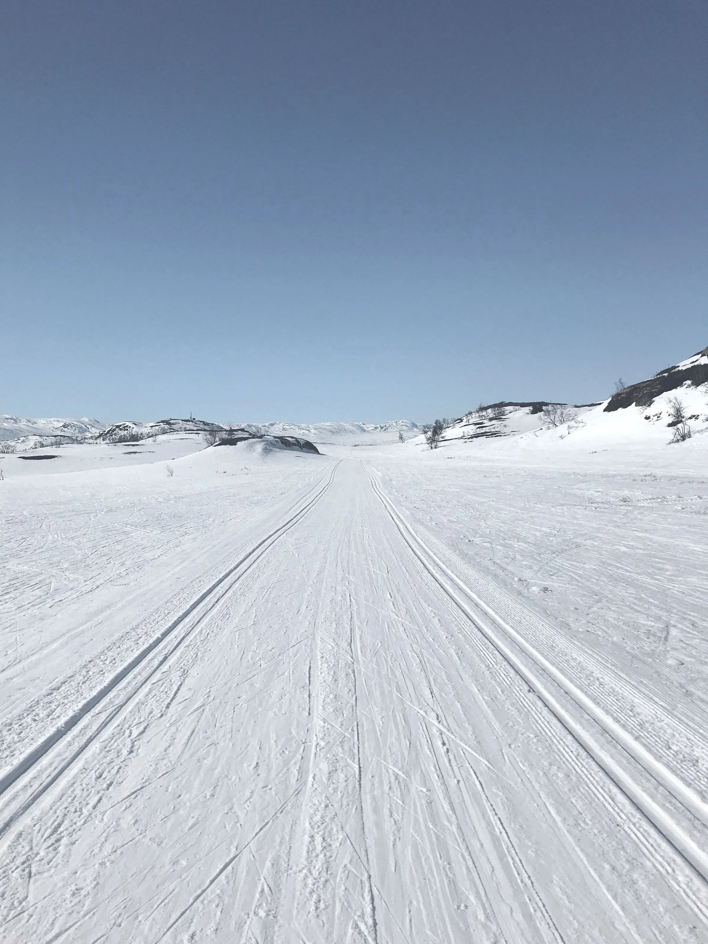 Langrennsløyper —