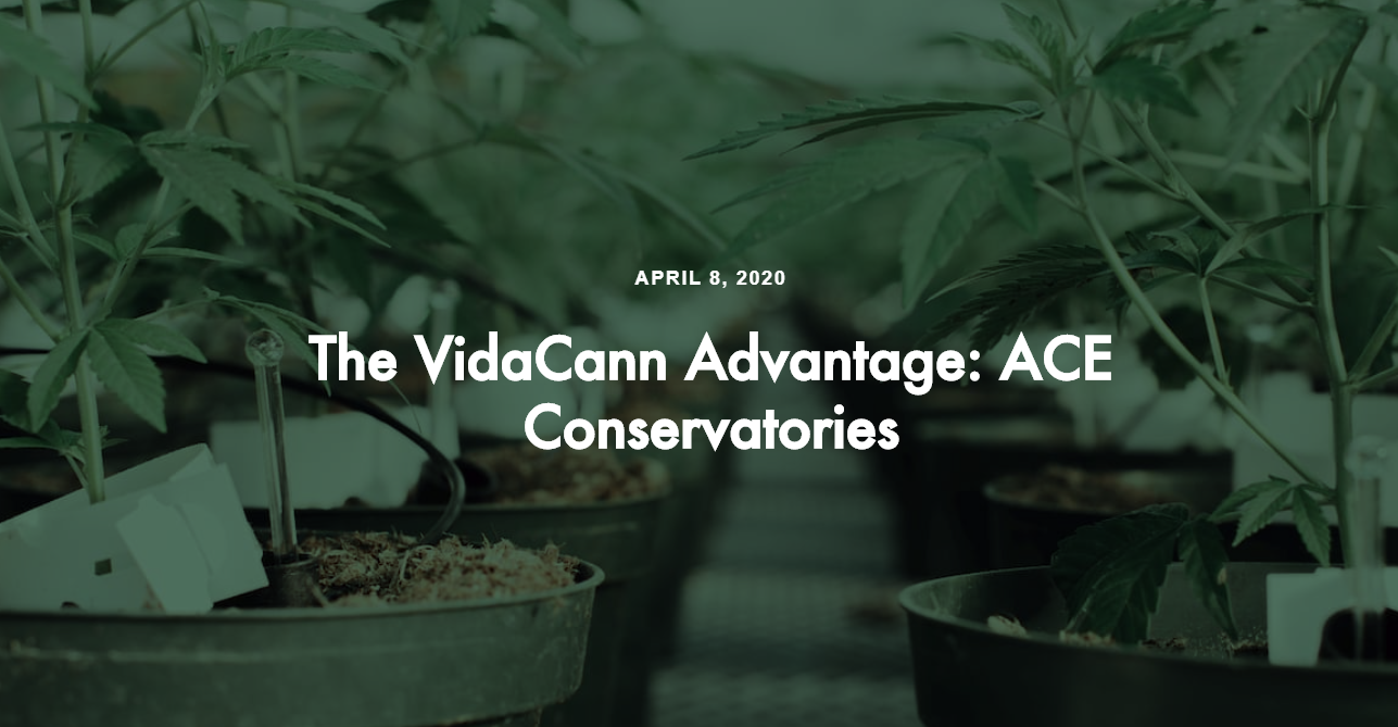 The VidaCann Advantage: ACE Conservatories | Cannabis Blog