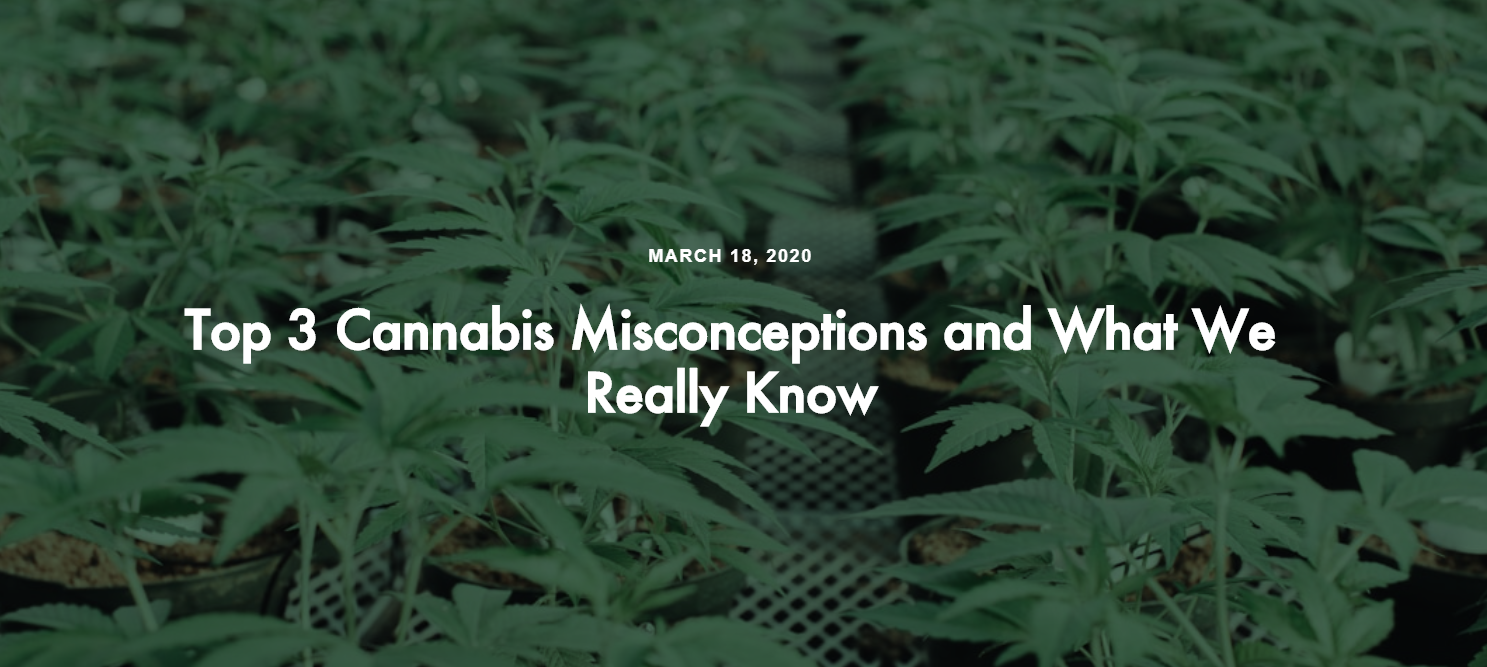 Top 3 Cannabis Misconceptions and What We Really Know | Cannabis Blog