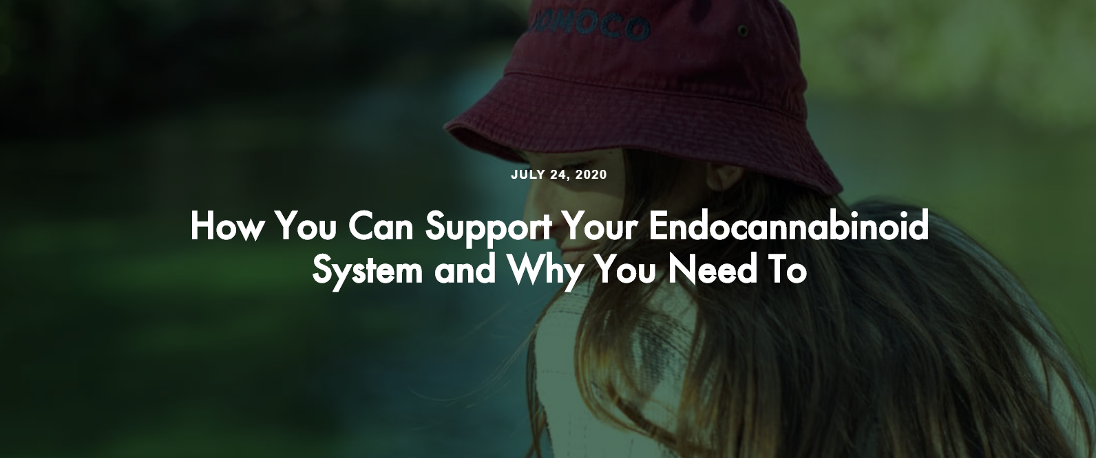 How You Can Support Your Endocannabinoid System and Why You Need To | Cannabis Blog