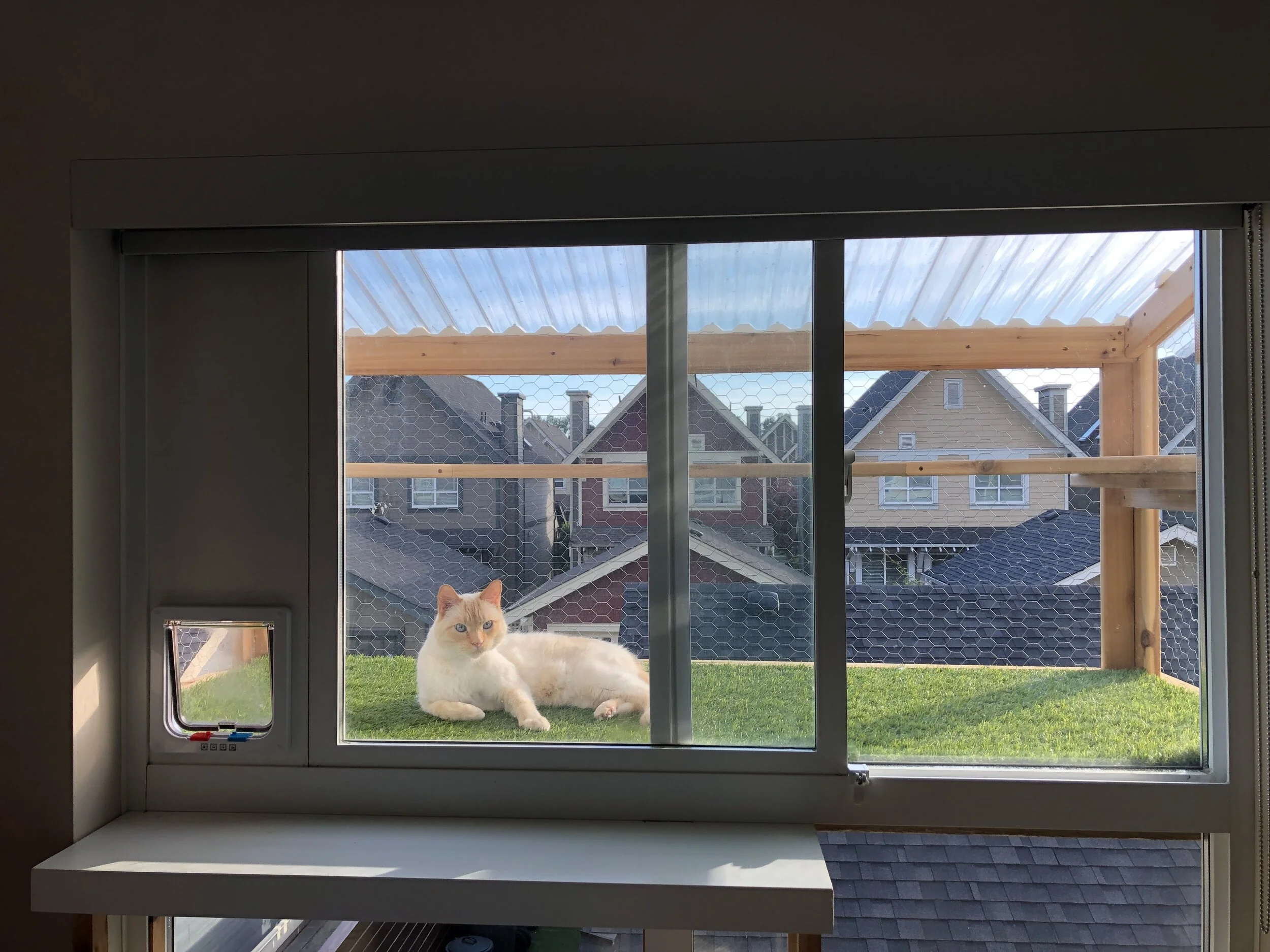 catio from window