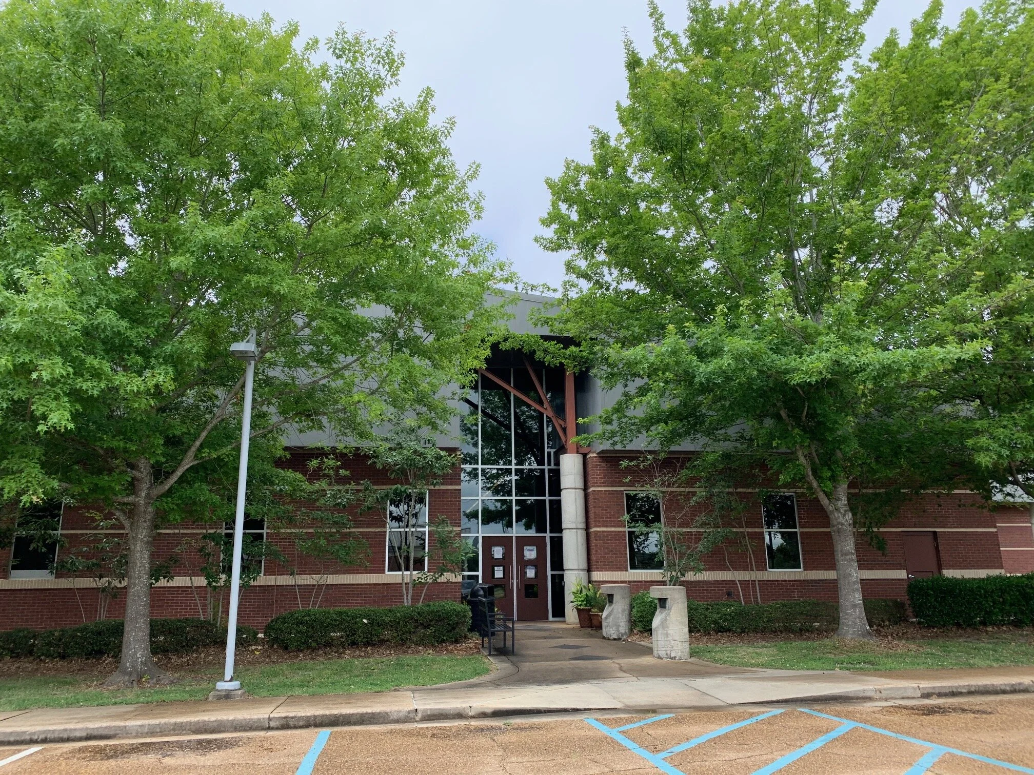 Brandon Library Brandon Libraries — kidfriendlymississippi.com