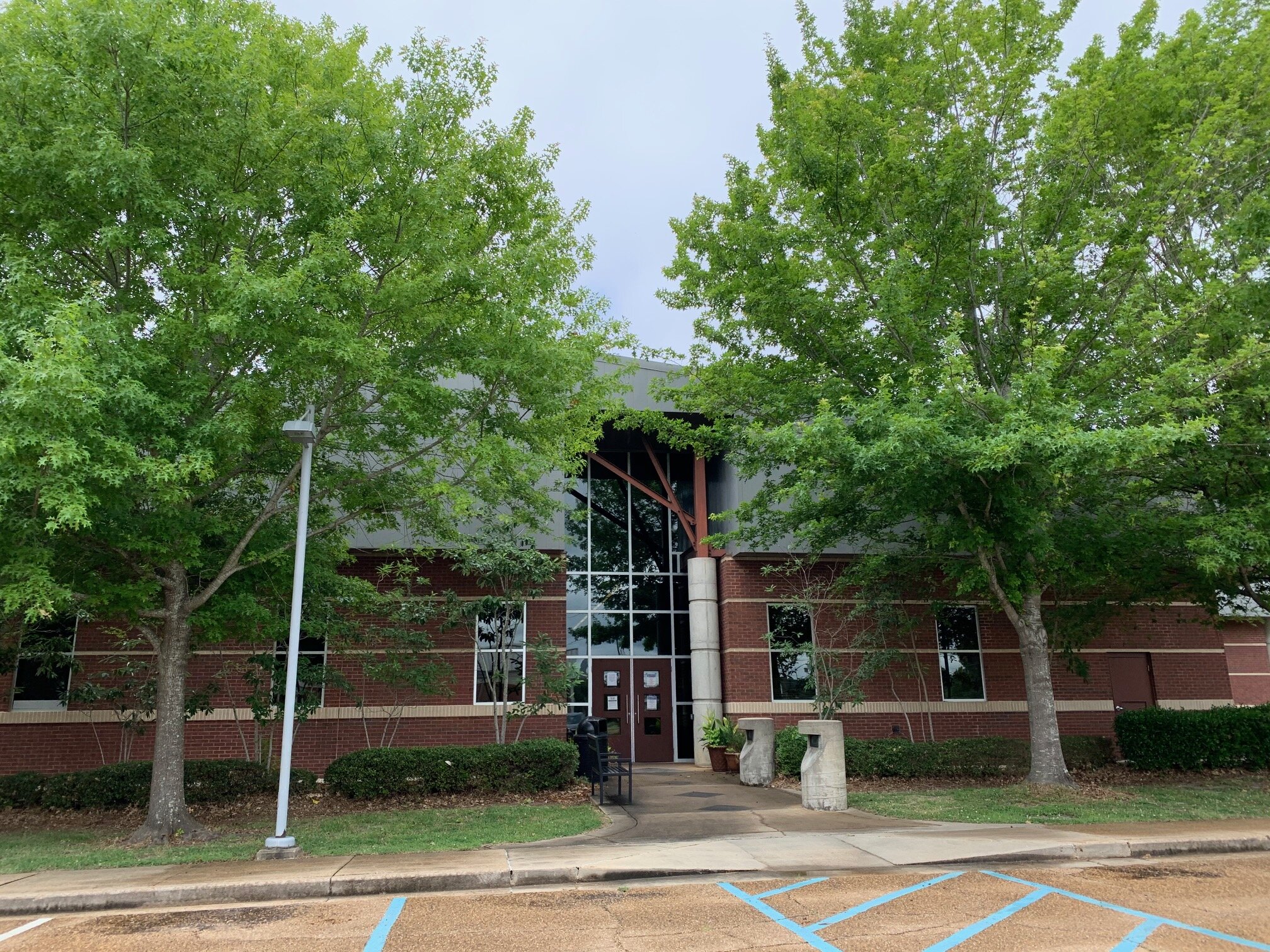 Brandon Libraries — kidfriendlymississippi.com