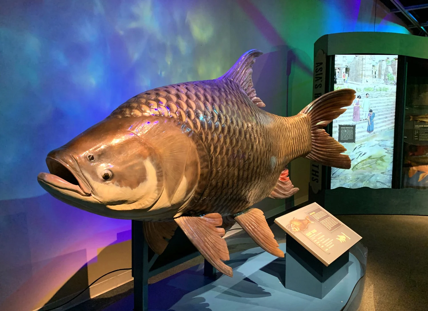 Monster Fish: In Search of the Last River Giants" - At the Mississippi  Museum of Natural Science in Jackson, MS  kidfriendlymississippi.com