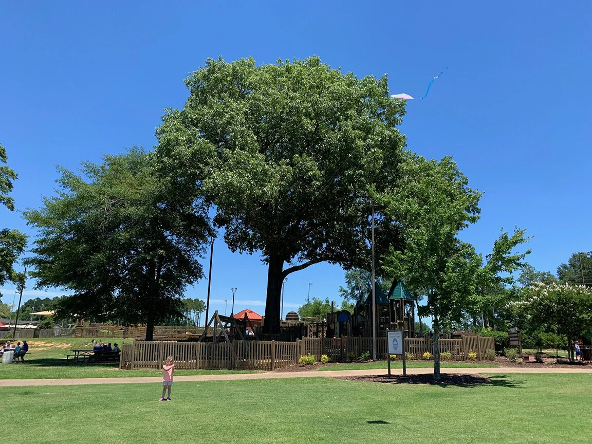 Jackson Metro Local Parks & Nature —