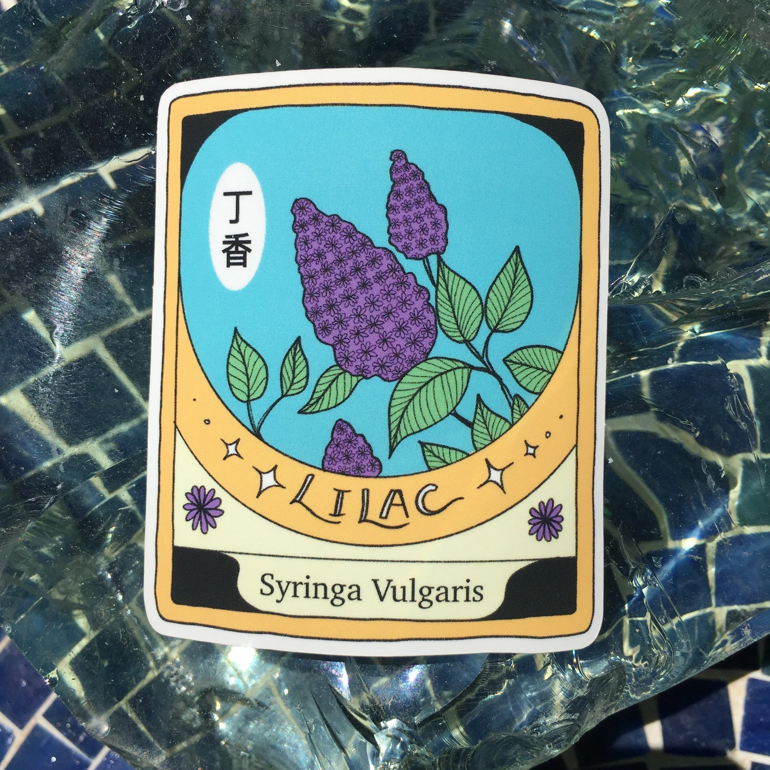 8E2DEDAF-80B2-4284-83E9-B40056518242