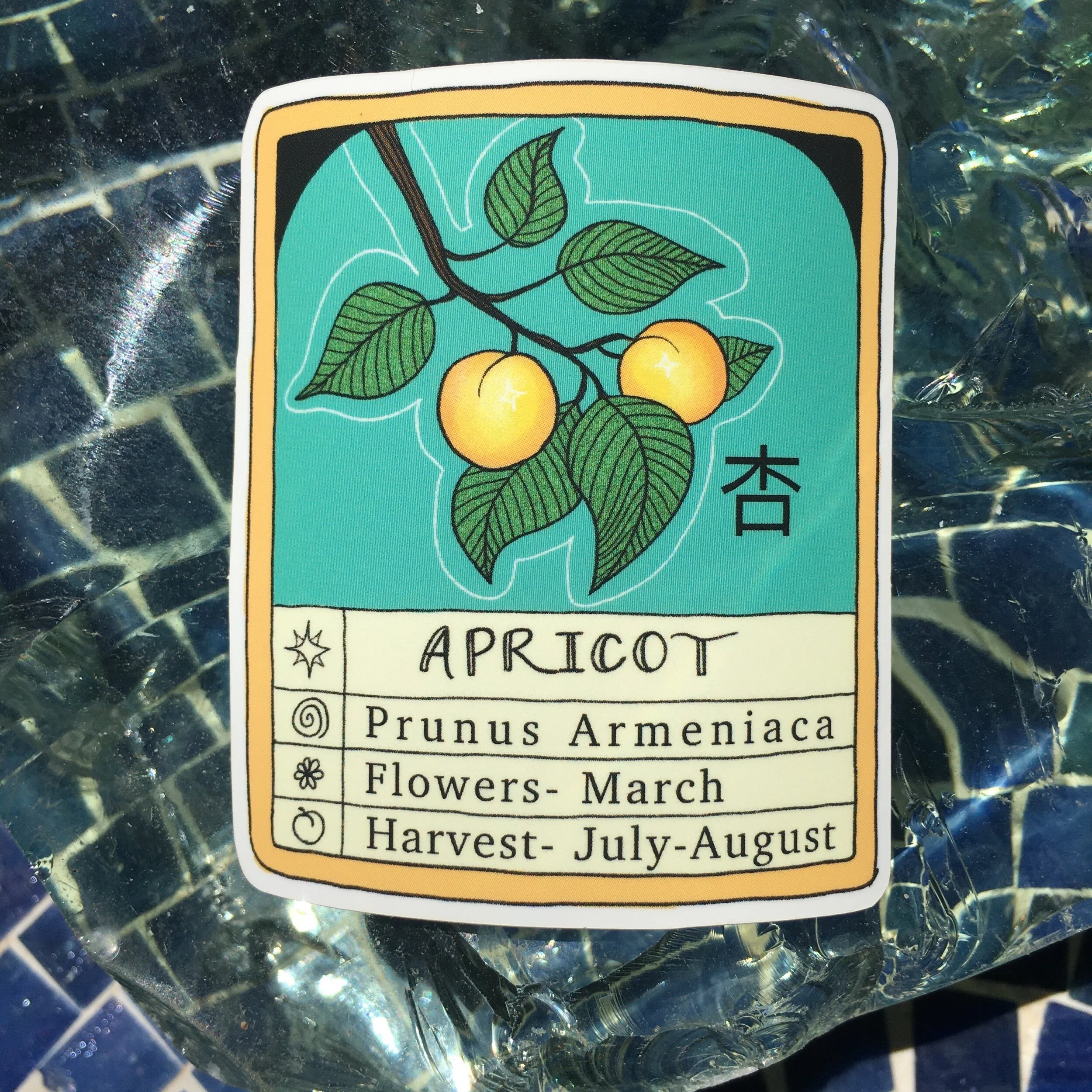 59D51A7C-F0A4-4700-8AB2-16BB8DCEF08A