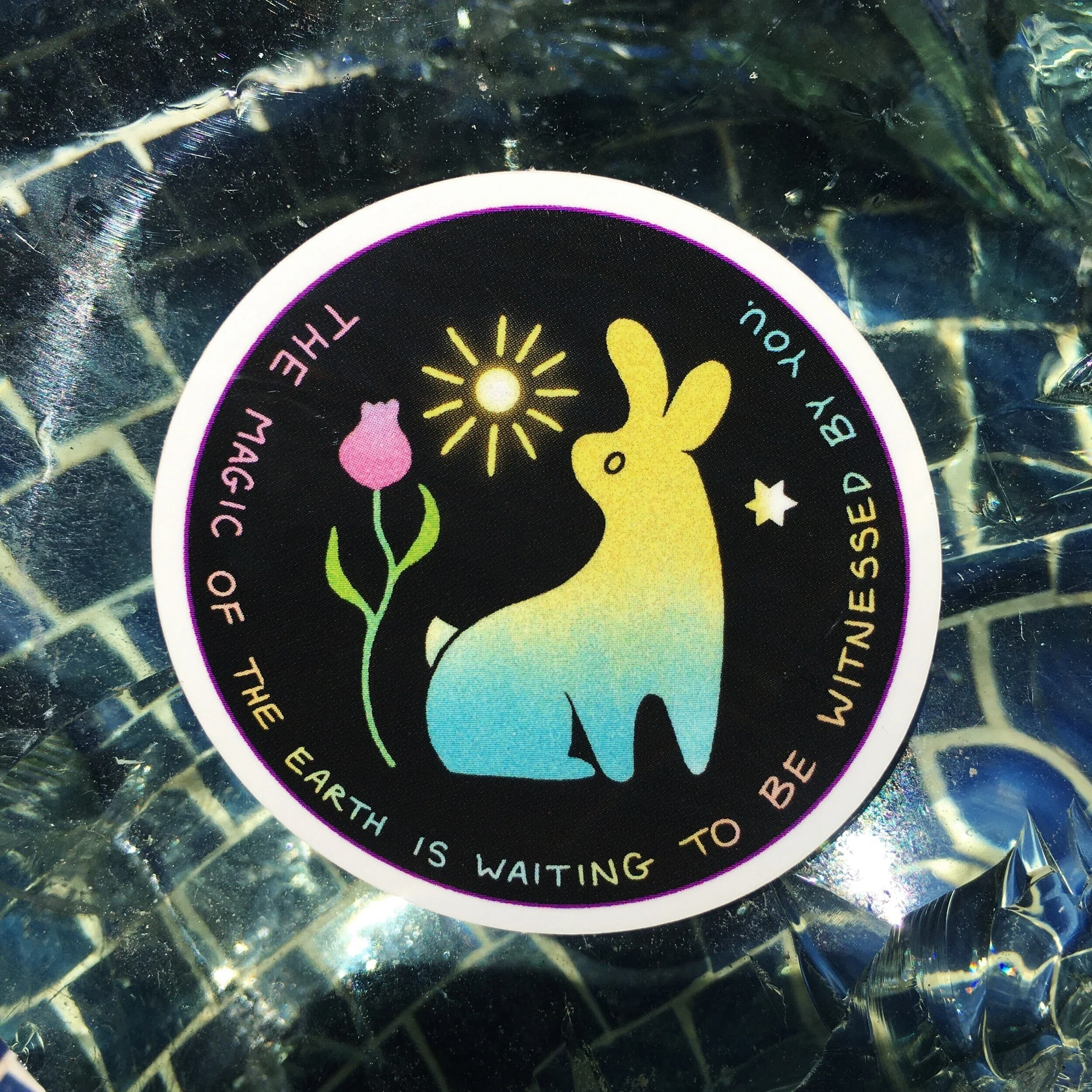 C0A981DC-132D-4CA0-81E3-A09F1F33DEBB