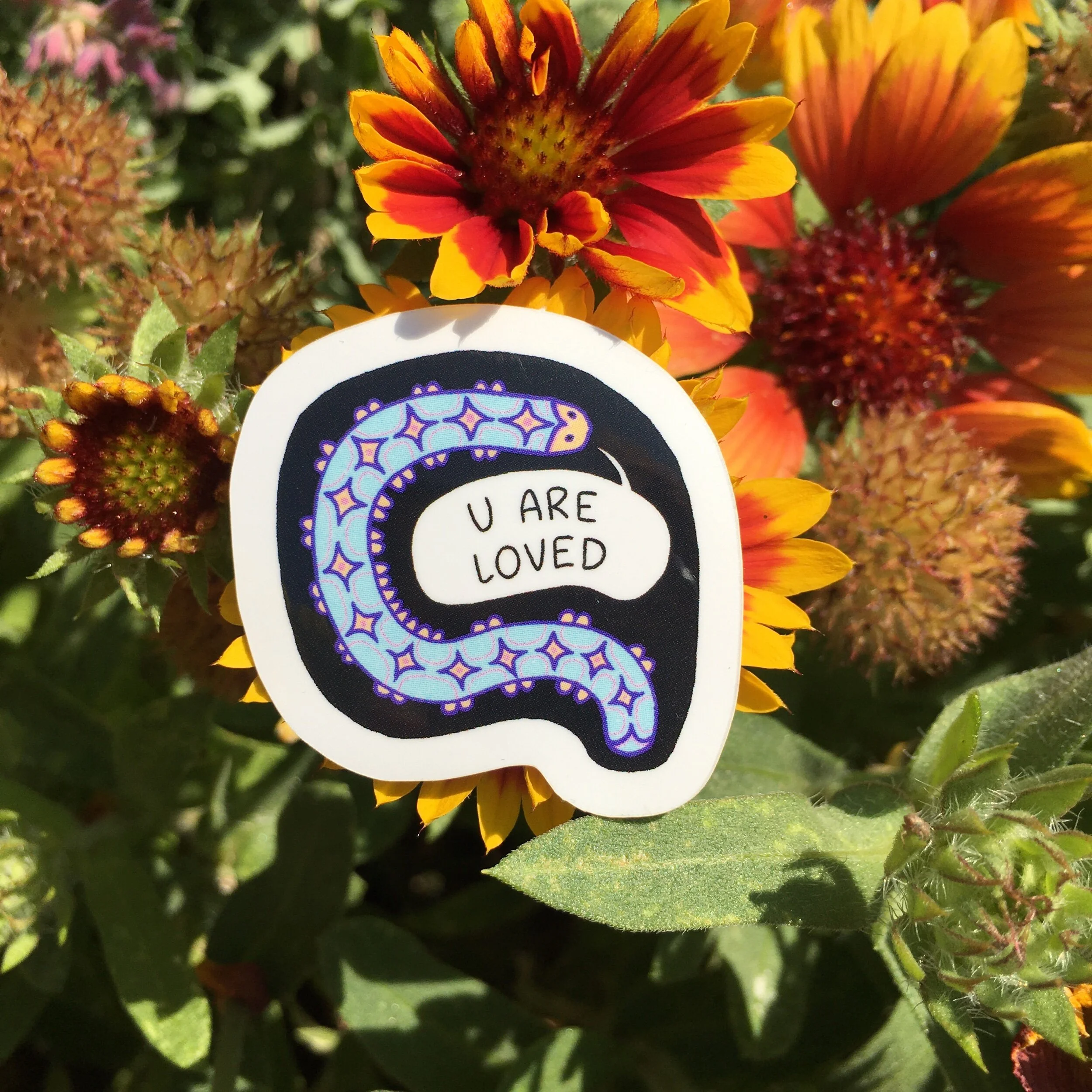 C48B9828-0DD1-4132-B554-13E8F3327C6A