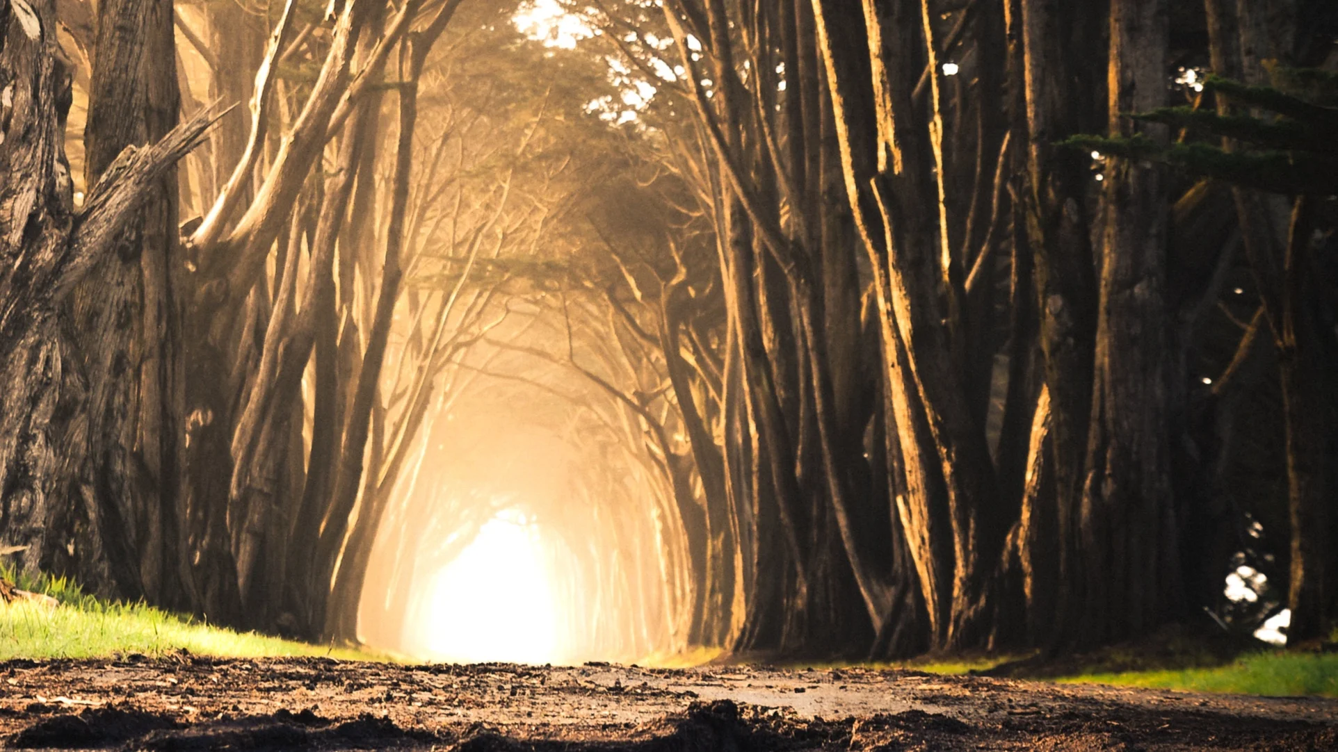 Mystery and The Acceptability of Not Knowing