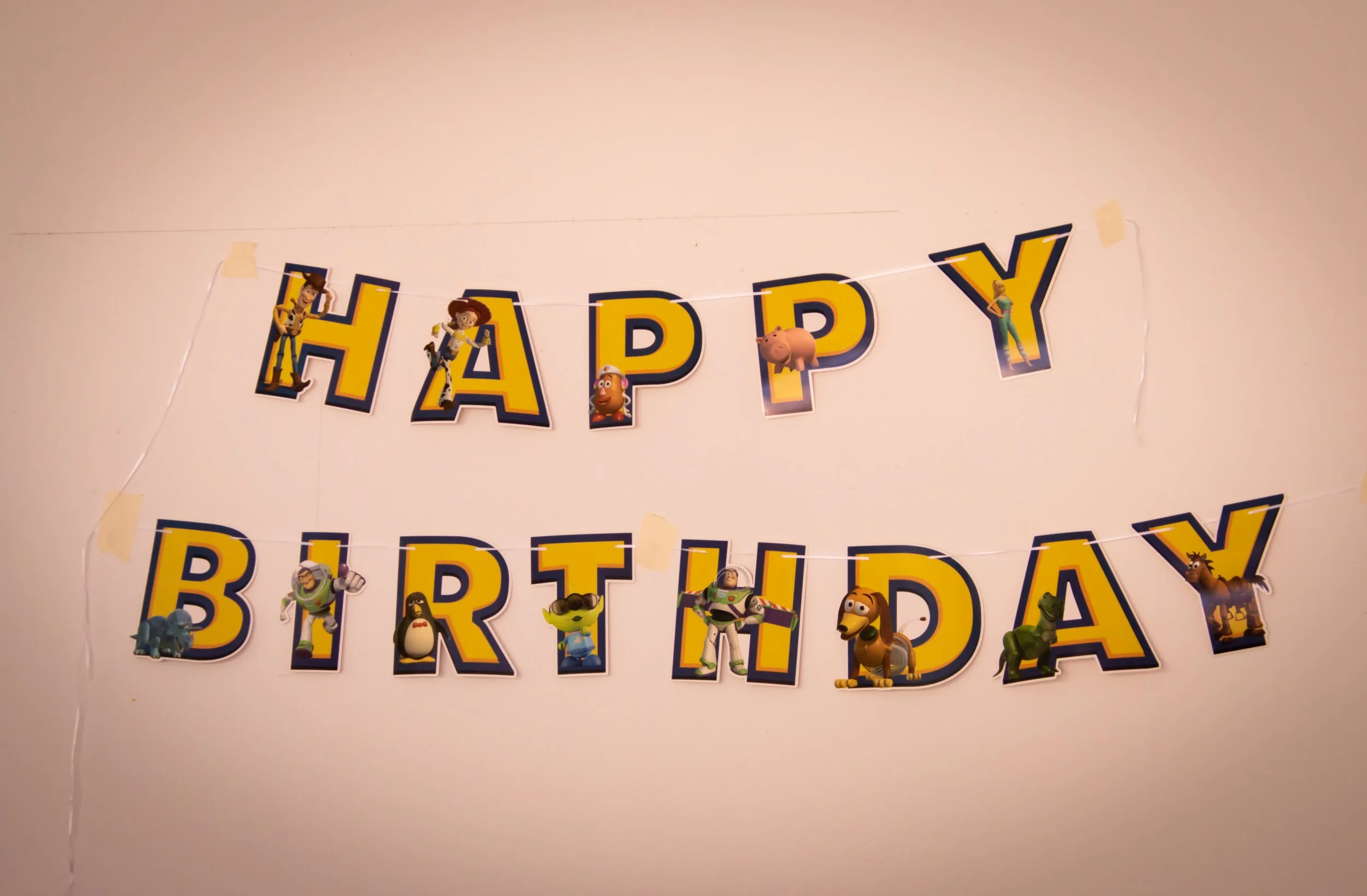 Alice 2nd bday (23).jpg