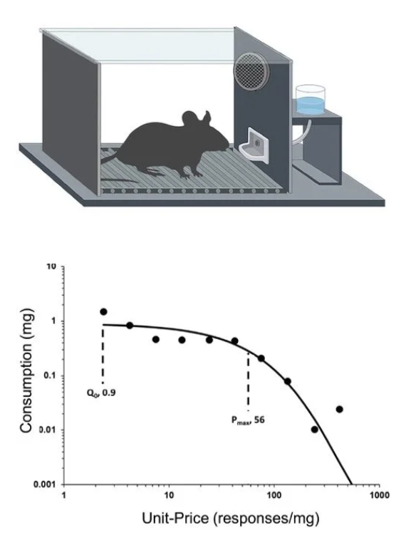 Drawing of a mouse drinking water in a cage on top of a graph