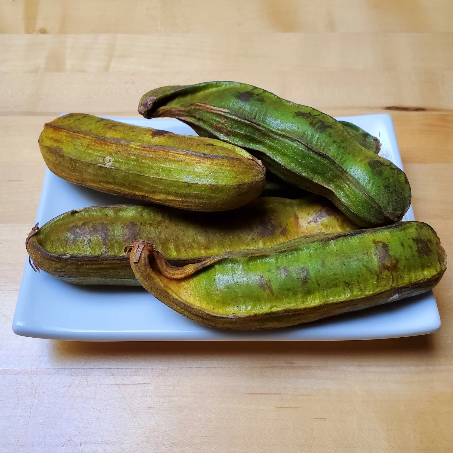 Ice Cream Bean  Wanderlust Nursery
