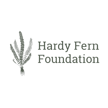 Fall Fern Fest