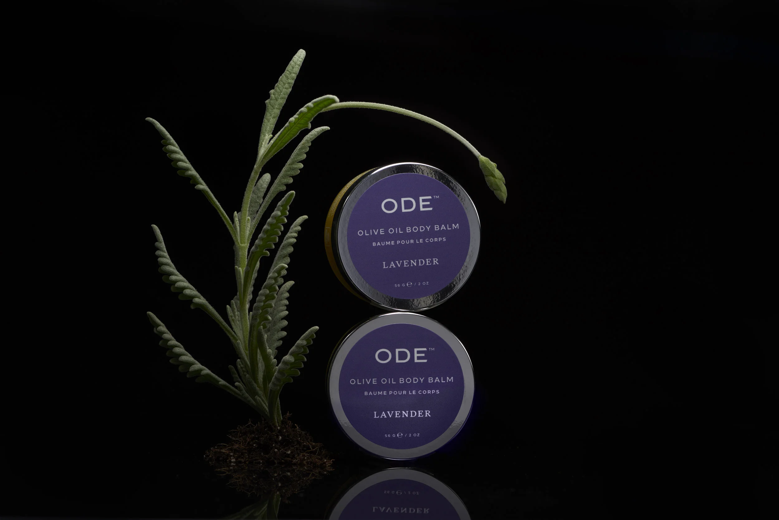 041818_ODE_313826_Lavender.jpg