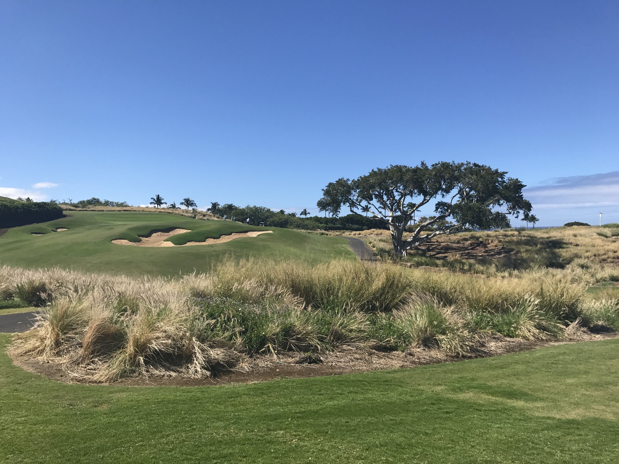 Native Rough Bunker_Mauna Kea Golf Course.jpg