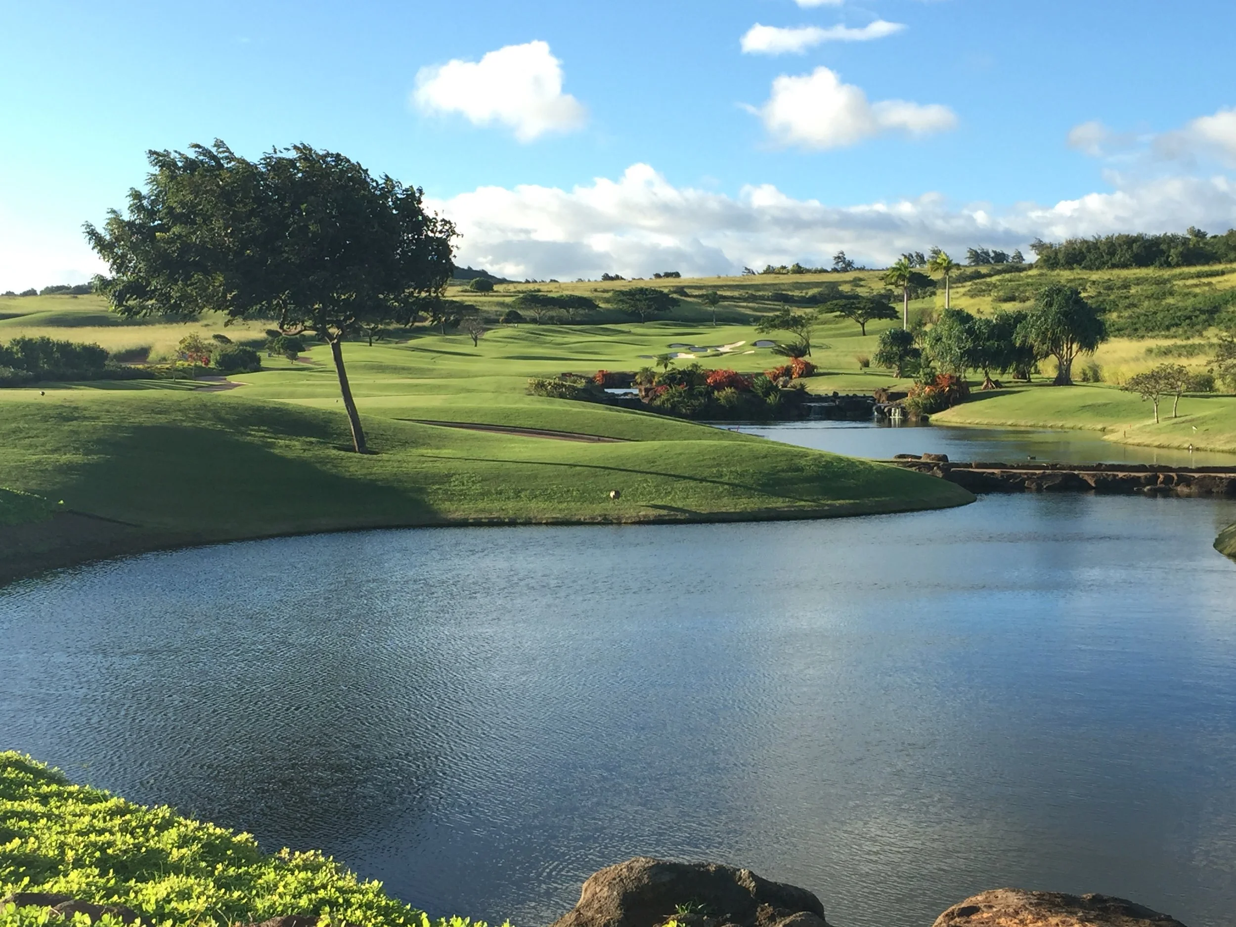 6 - Surface Water Management &amp; Water Quality