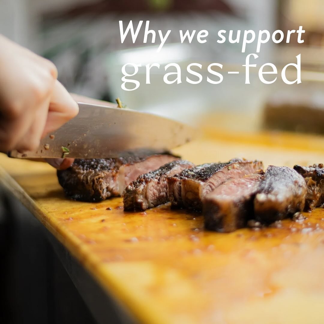 we love happy cows 🐄 
 
 
#grassfed #sustainableeating #regenerativeagriculture #moo #happycows