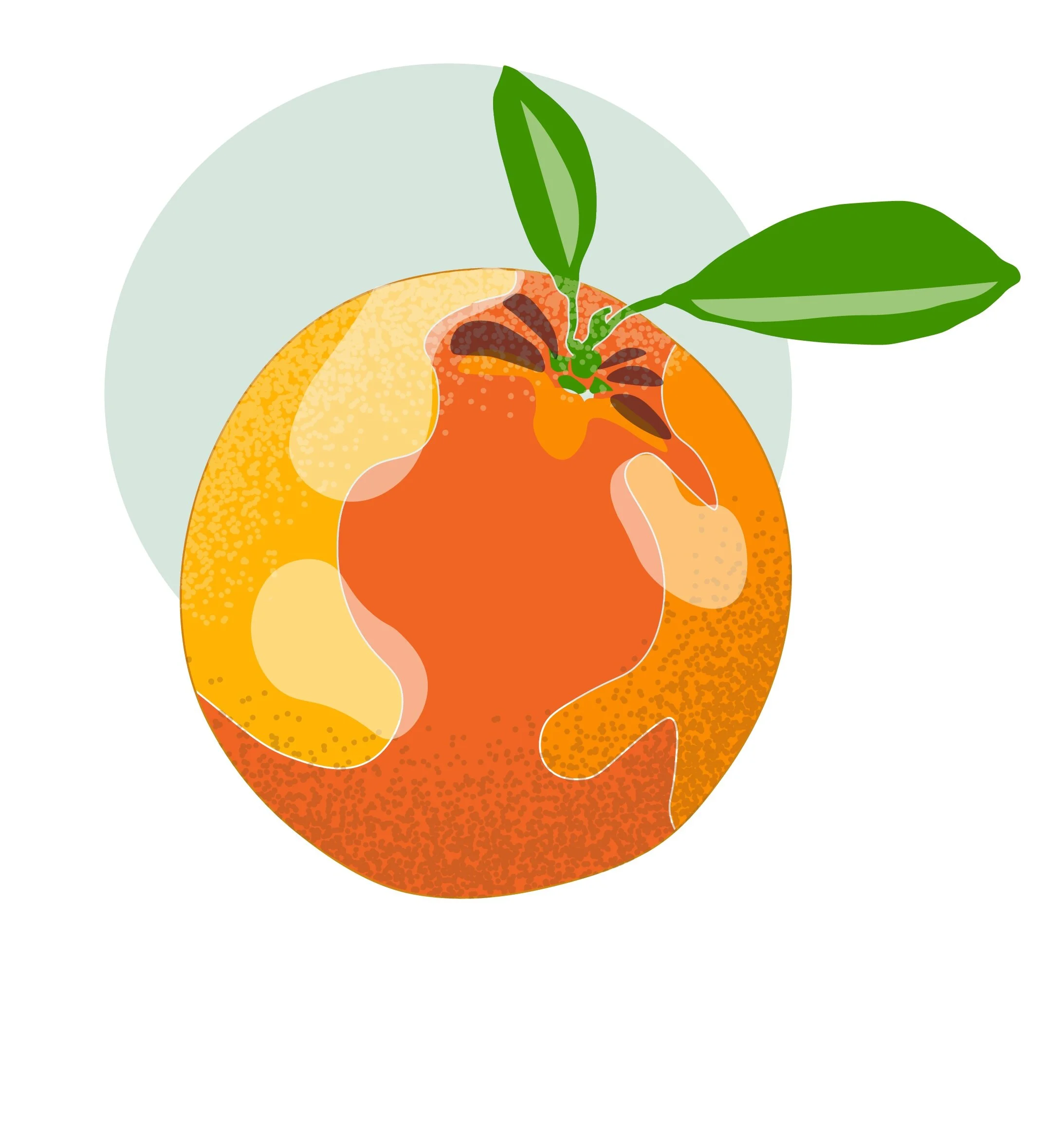 Little+orange+-01.jpg