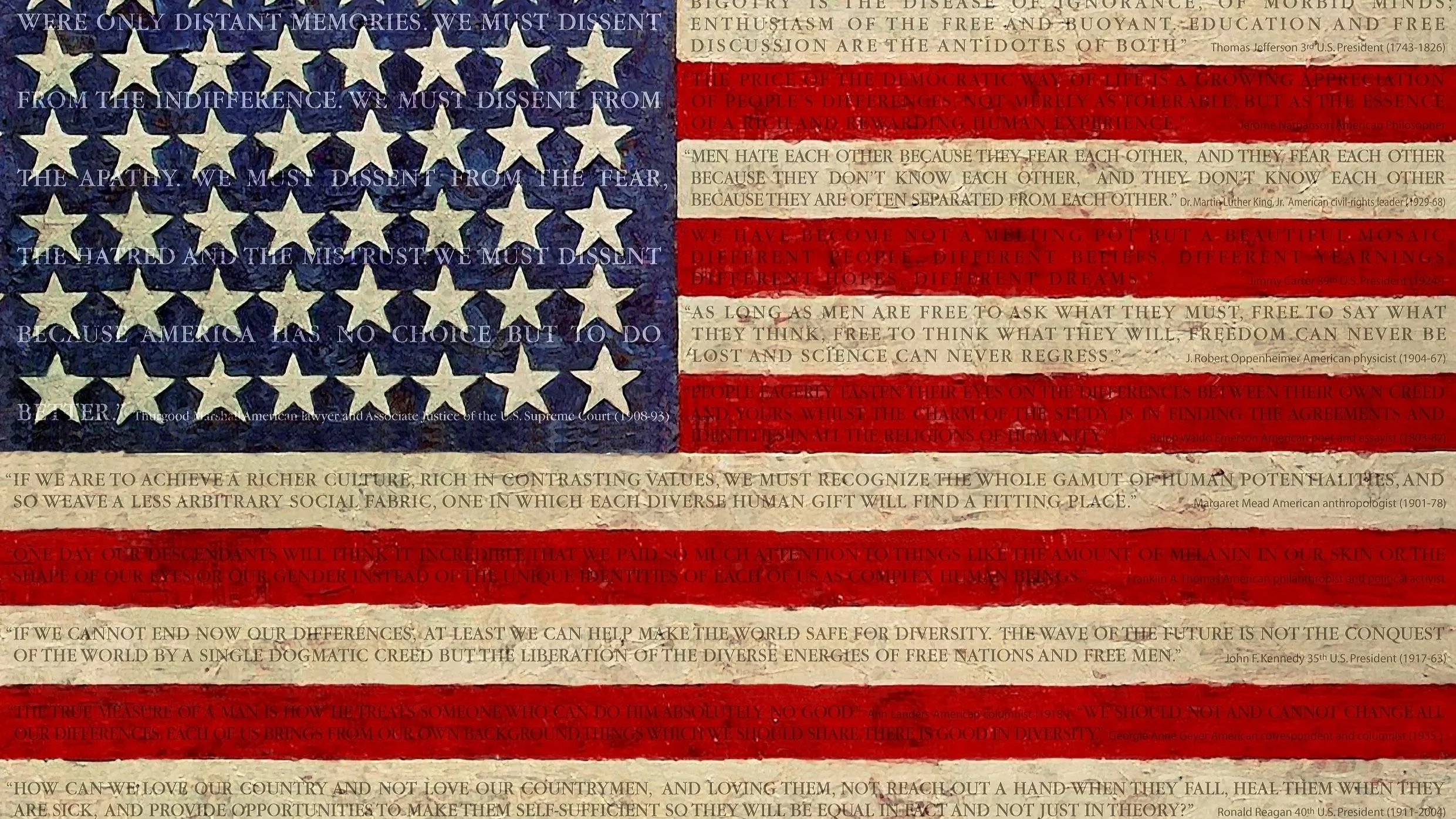 DiversityFlag-Large.jpg