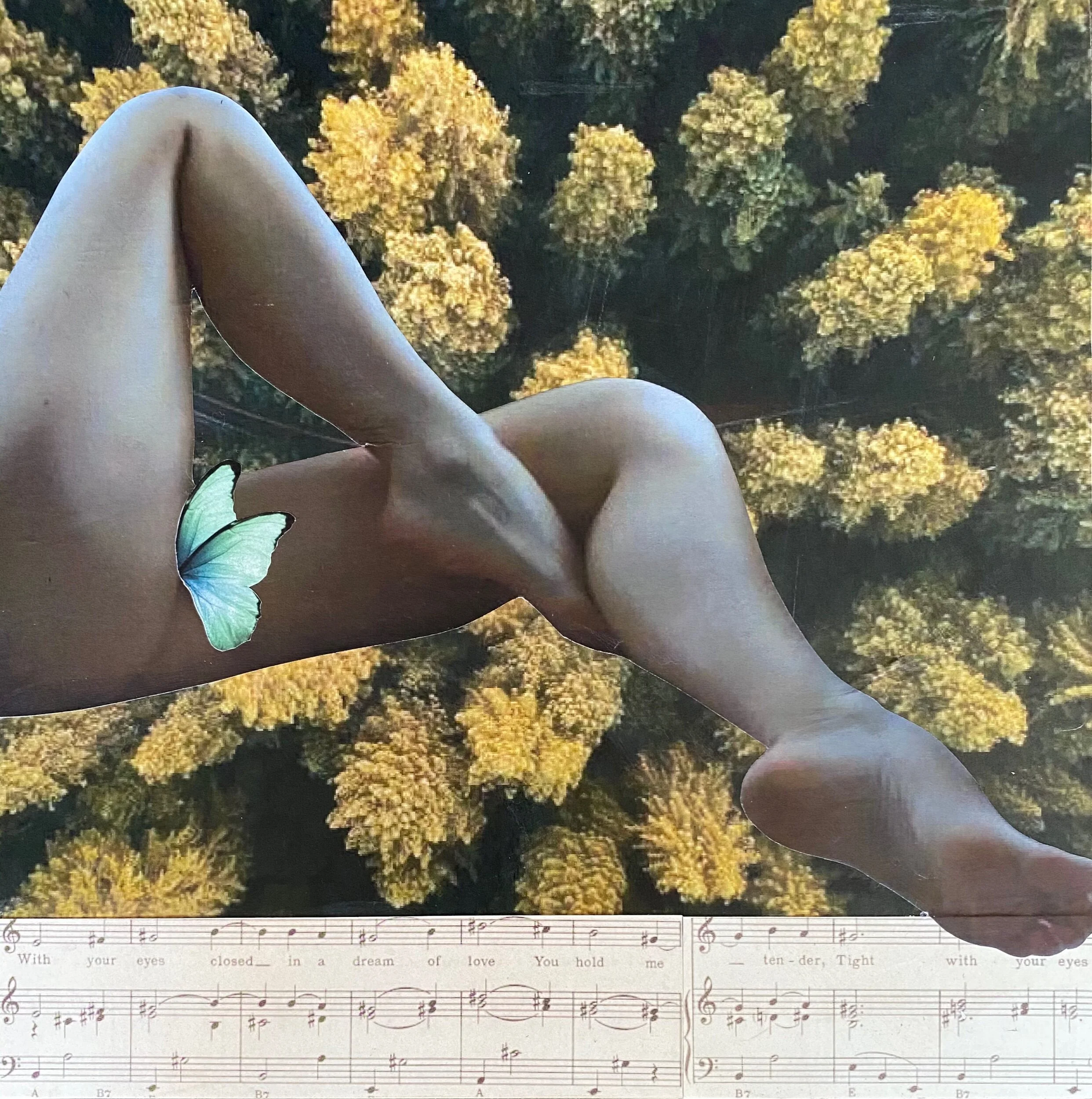 B708A5AC-46DE-42F4-9F59-7987B0B5C6F2