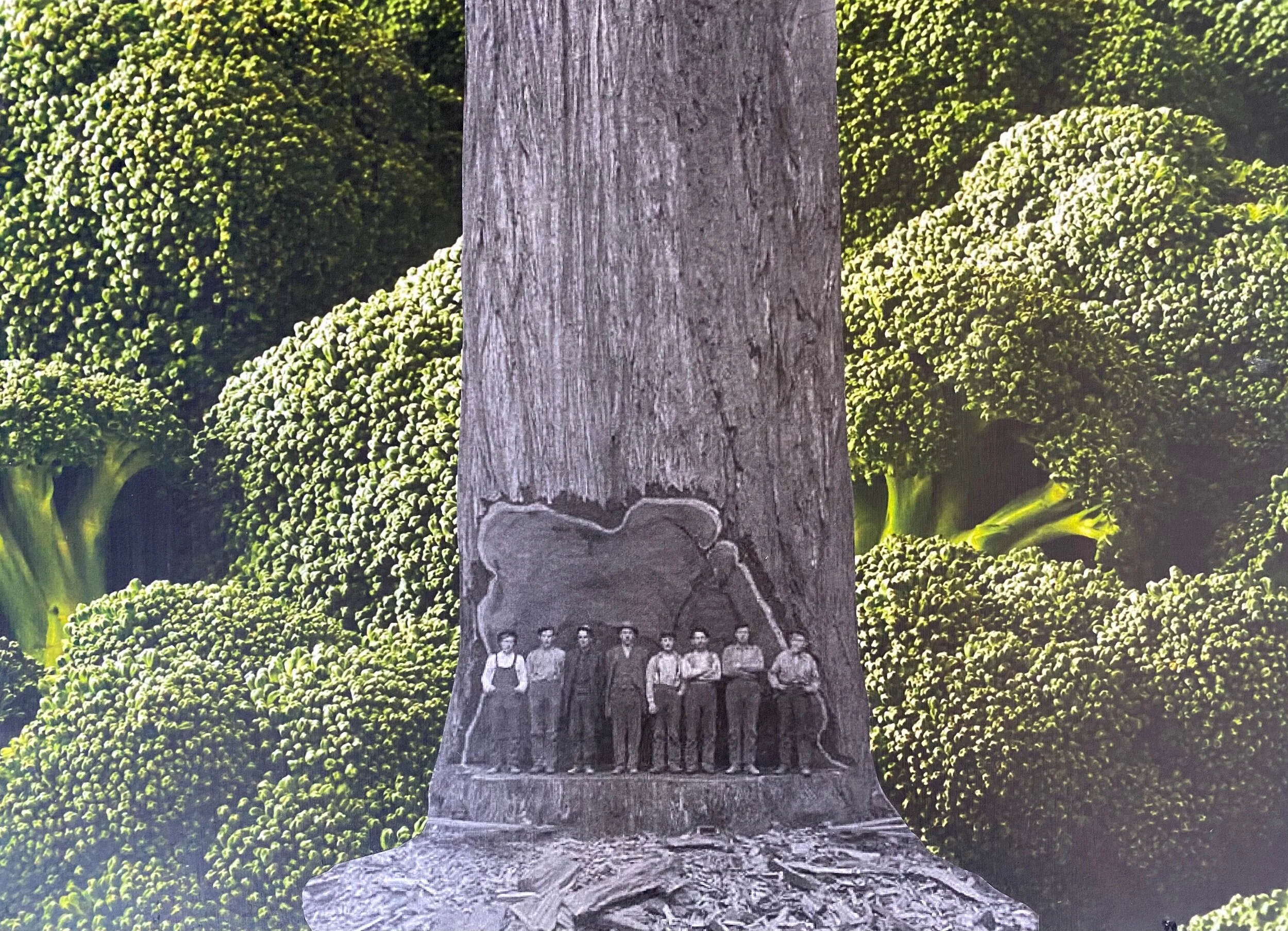 1DC28C34-E94C-48F8-86C5-A593B3AD6594