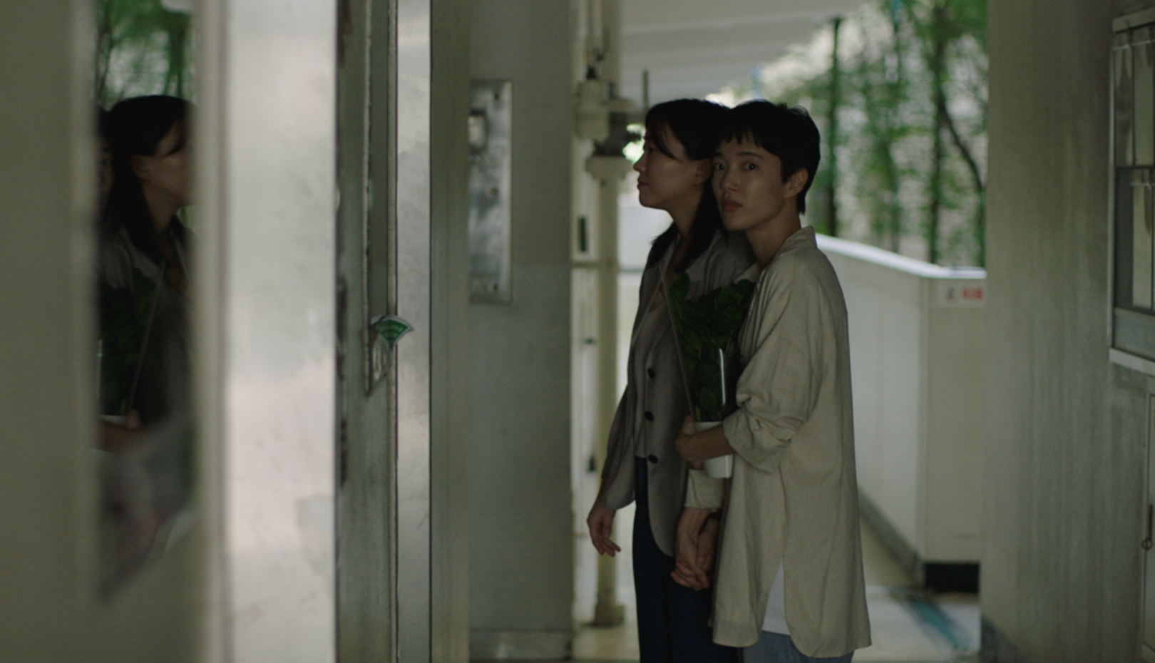 lucky-apartment-01.png