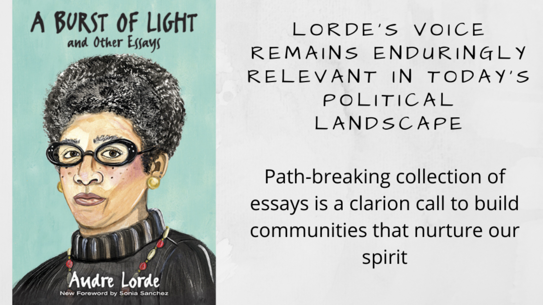 A Burst of Light: and Other Essays