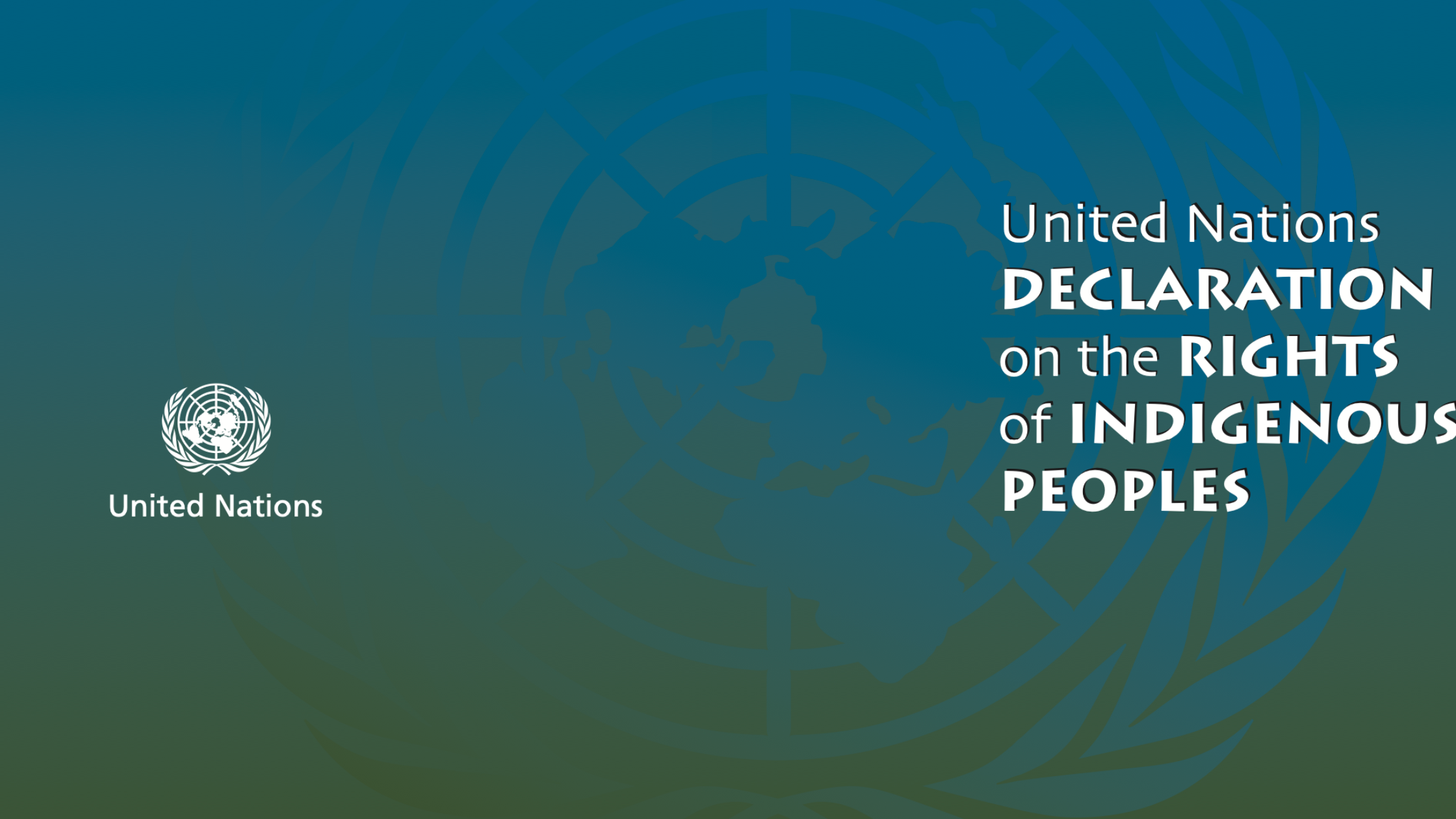 United Nations Declaration on the Rights of Indigenous Peoples