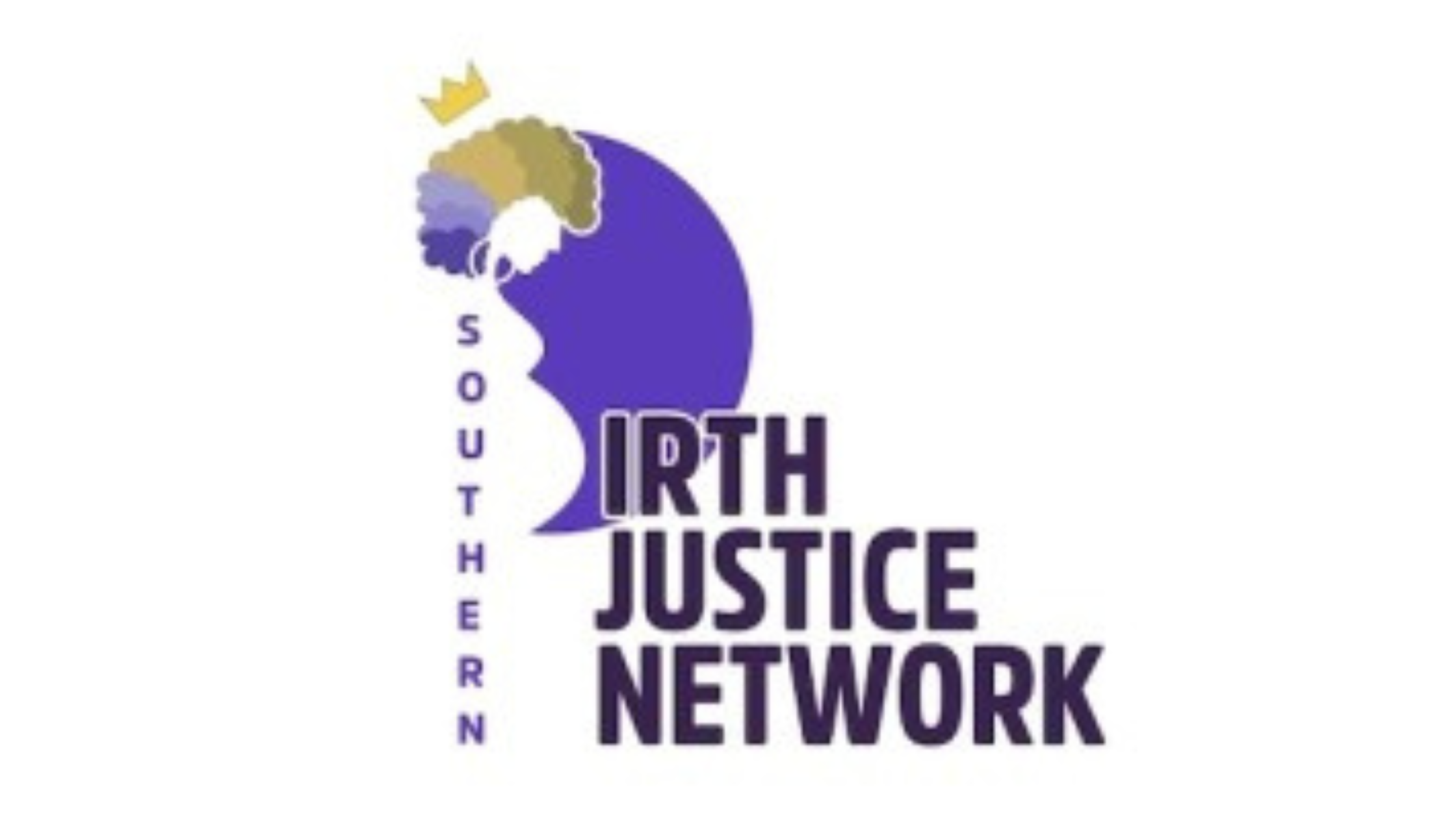 Southern Birth Justice Network