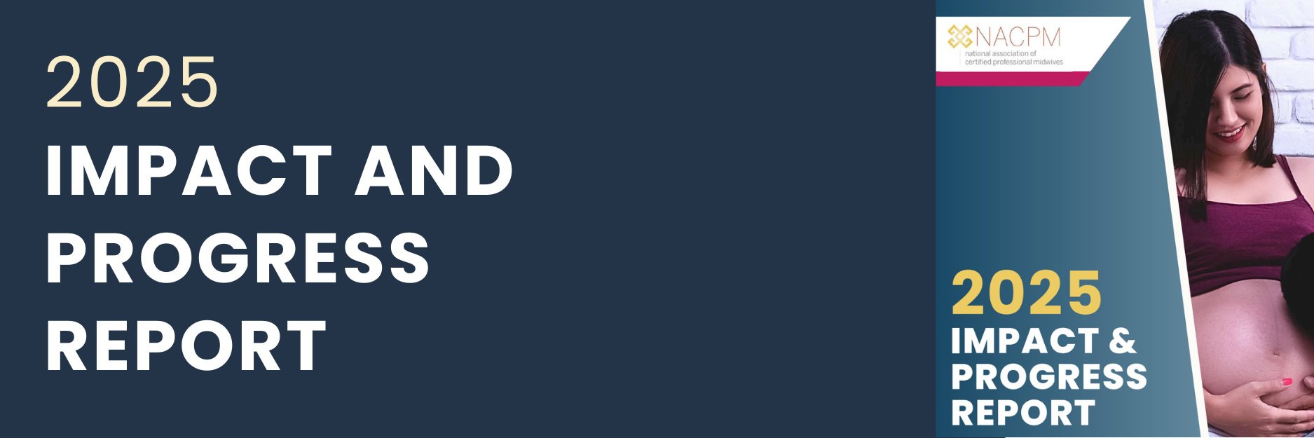 Impact and Progress Report .png