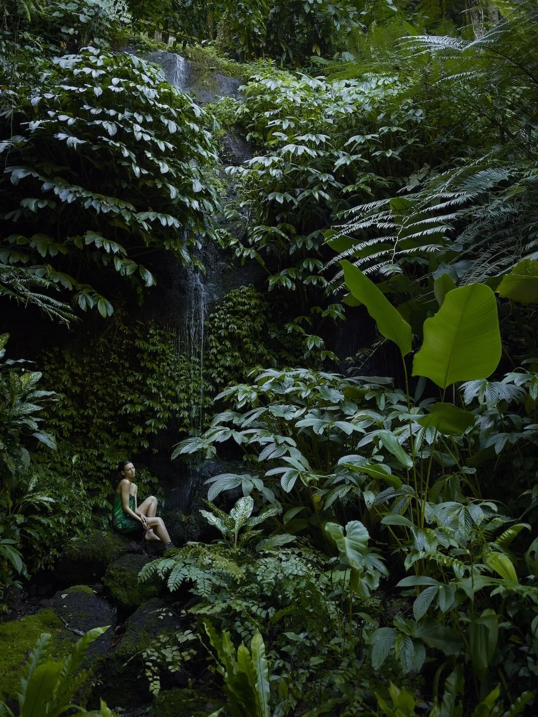 Natural greenery representing Aveda’s connection to nature and plant-based beauty philosophy