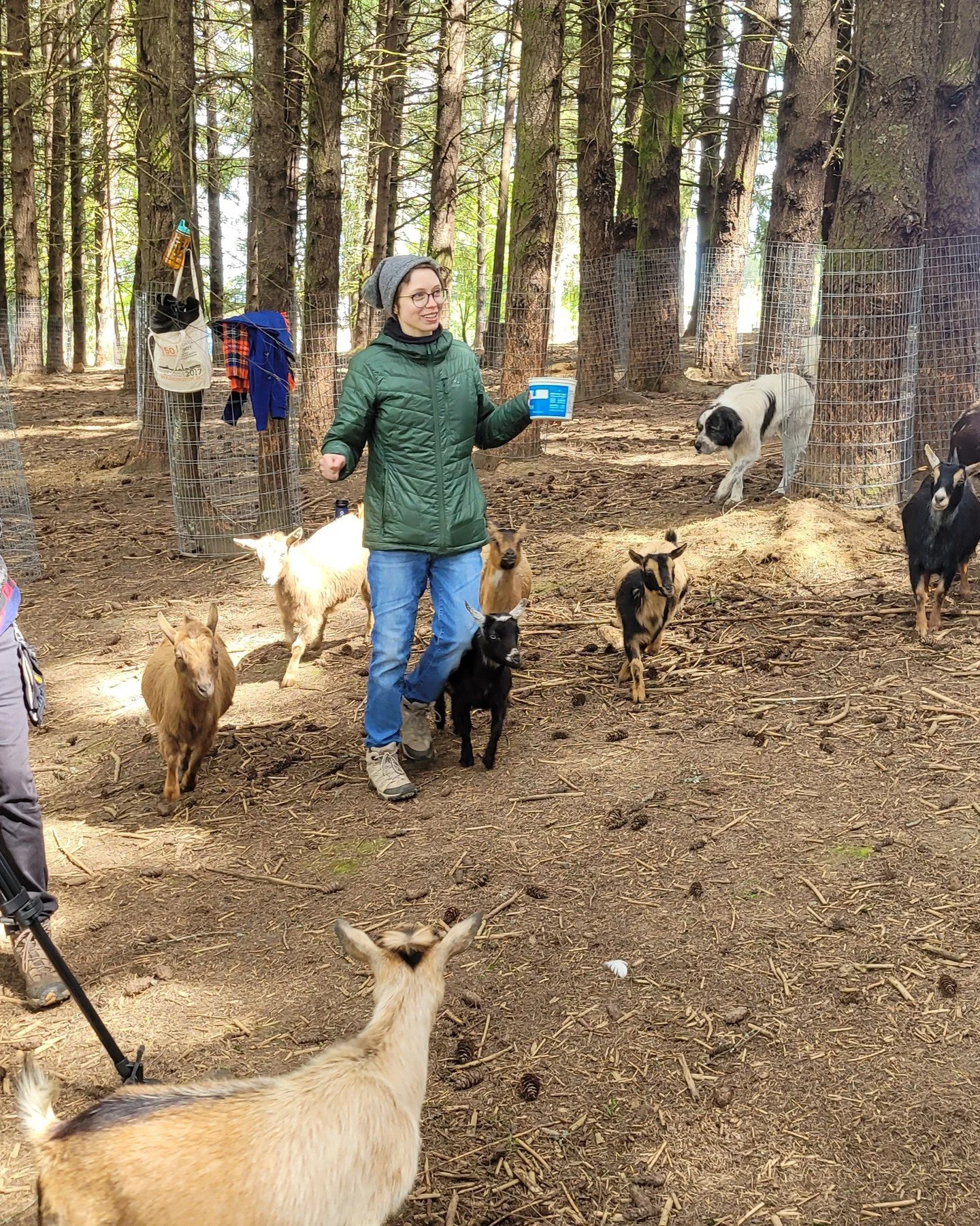 Today we want to shout out a special thank-you to Portland Goat Parties @portlandgoatparties ! They graciously allowed us to film at their farm so their goats could serve as extras in our Animal In-Between scene. Without a doubt, our most memorable s