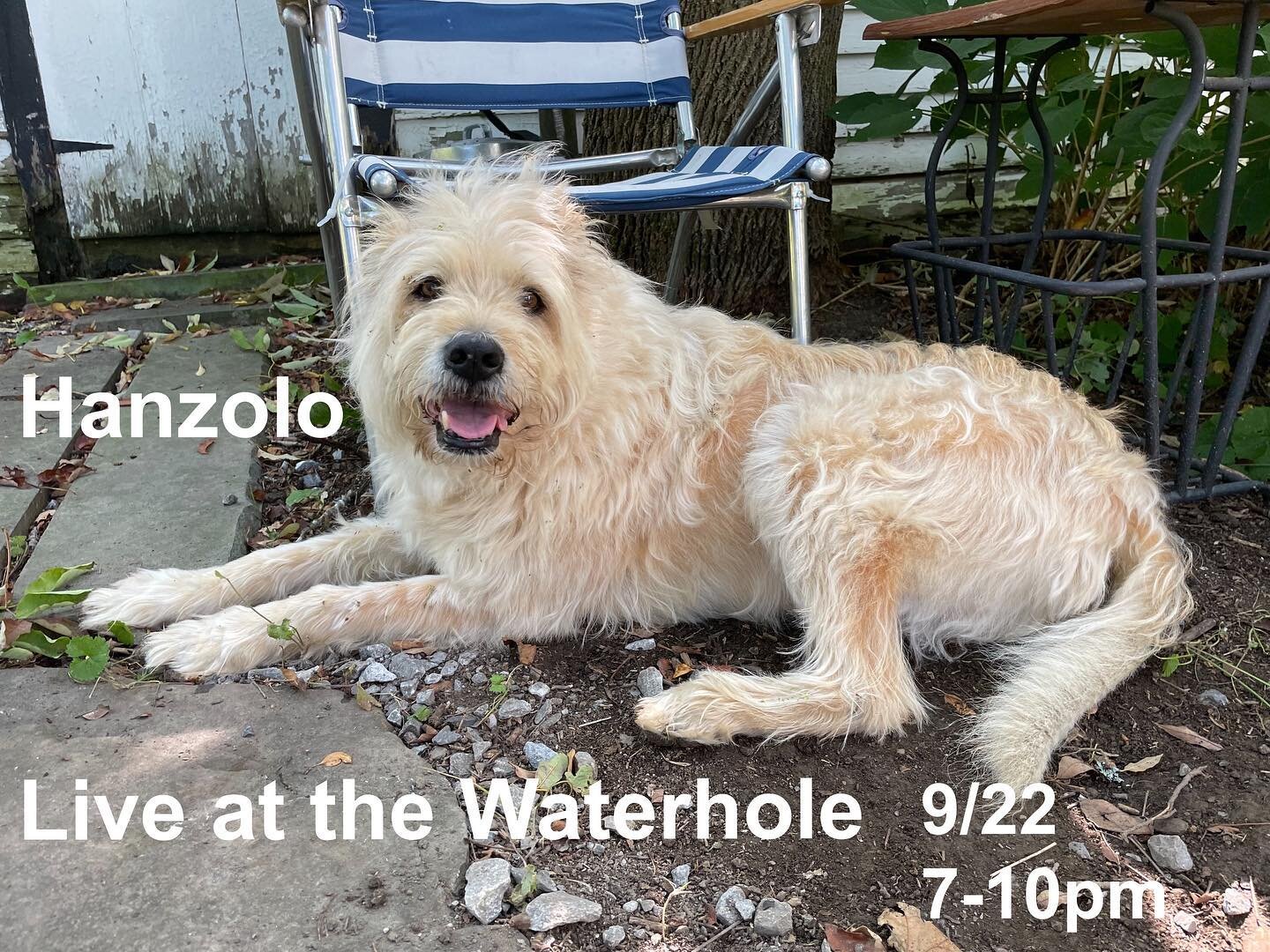 on Thursday, we head north to play at the @waterholeadk !
Nestled in the idyllic town of Saranac Lake, this is one of our favorite places to play, come and find out why

We hit from 7-10