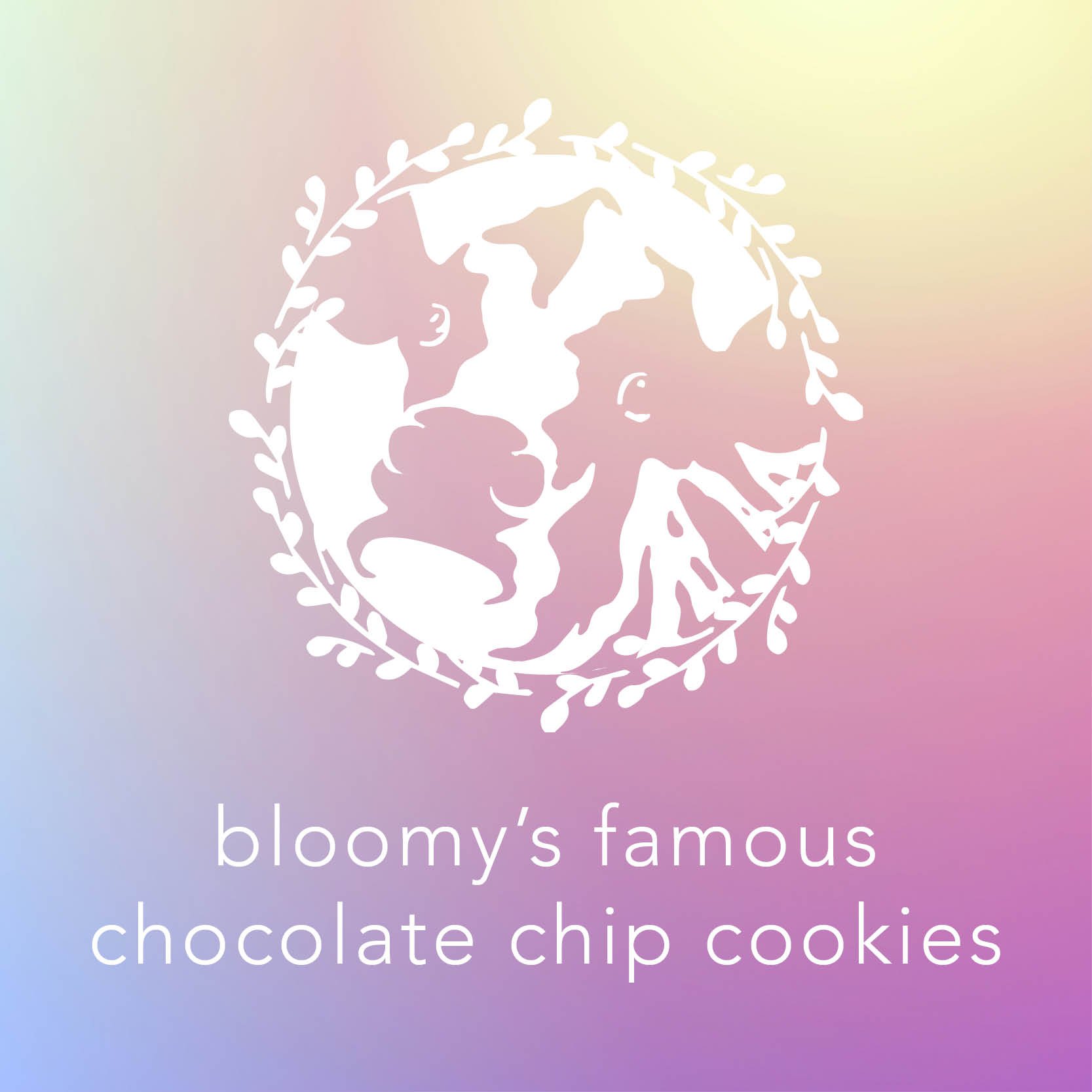 bloomy’s famous chocolate chip cookies