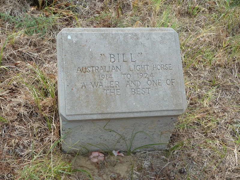 BillBastardGrave.jpg