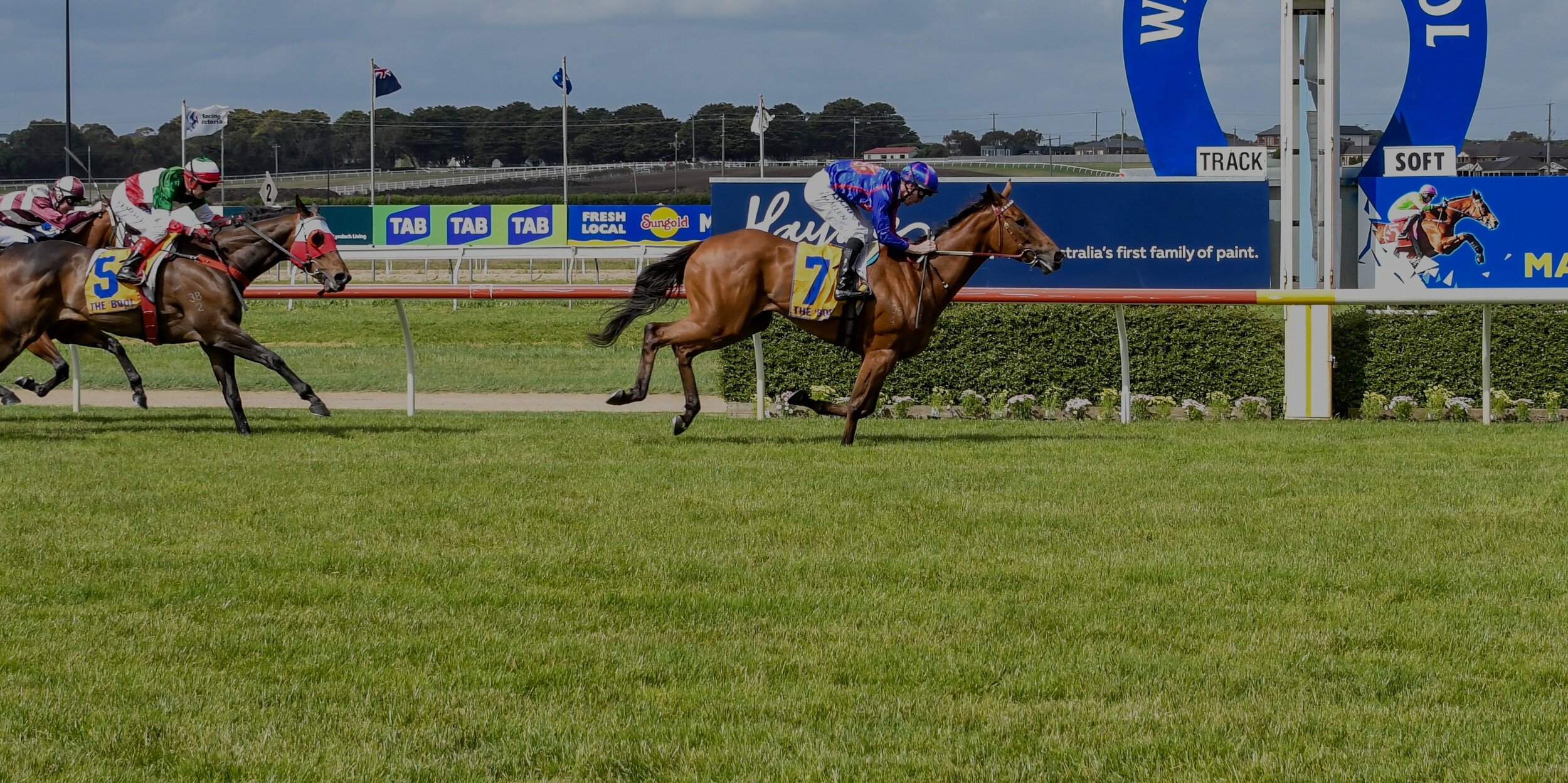 POINTS 2021 — The Jericho Cup