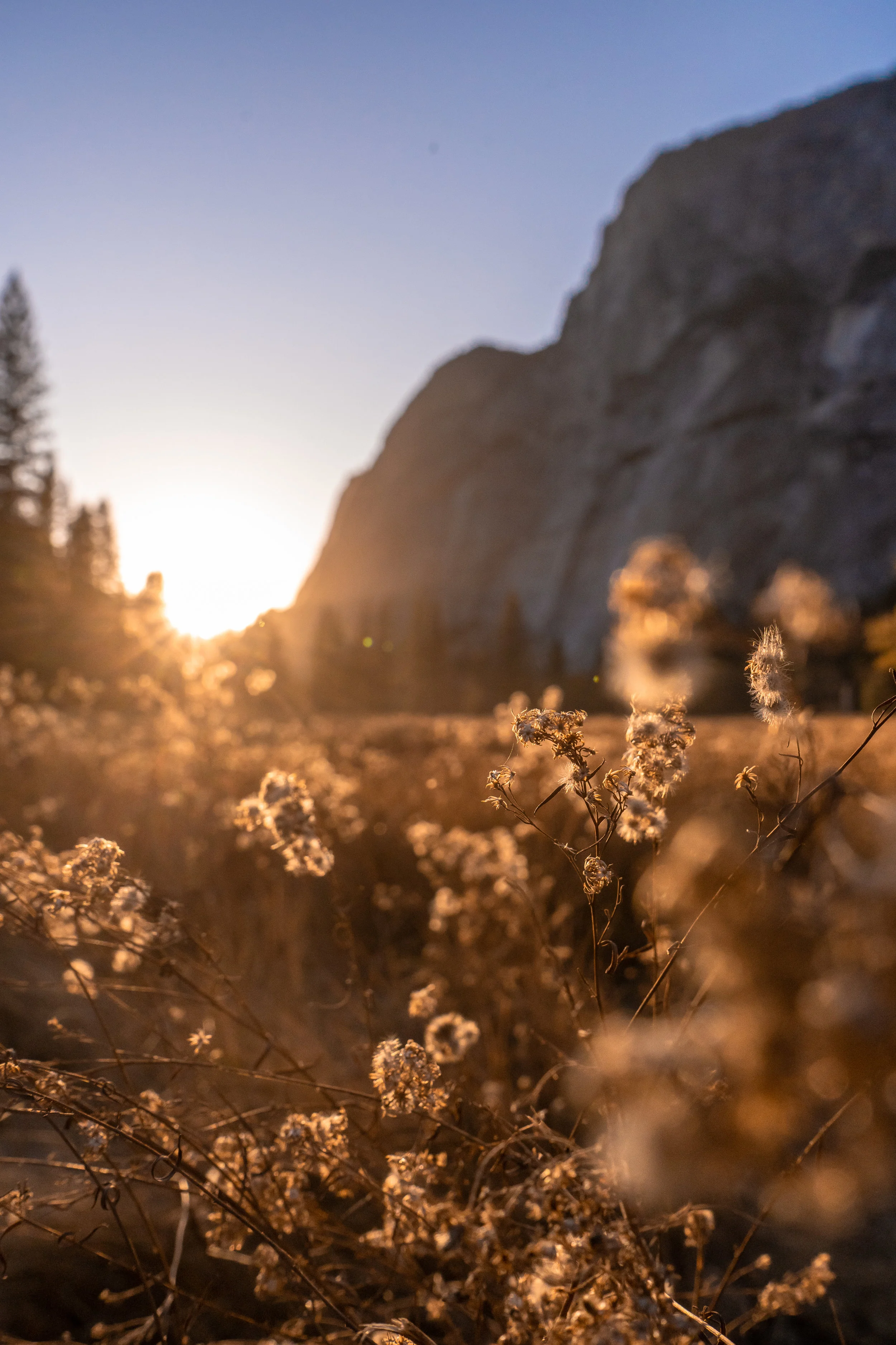 It's been a minute (longer than minute rice)