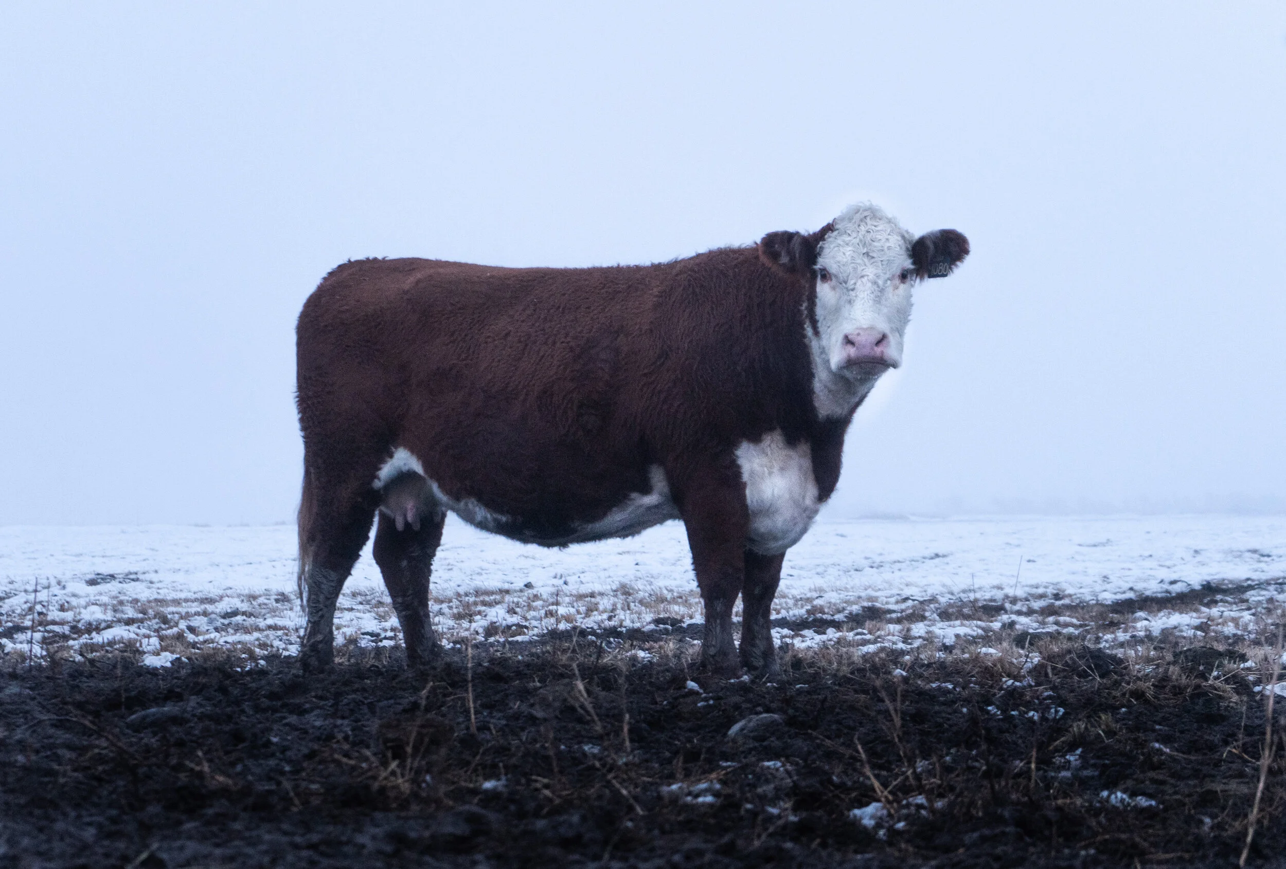 It's Wednesday My Dudes - Aeaaahhhhhhhh