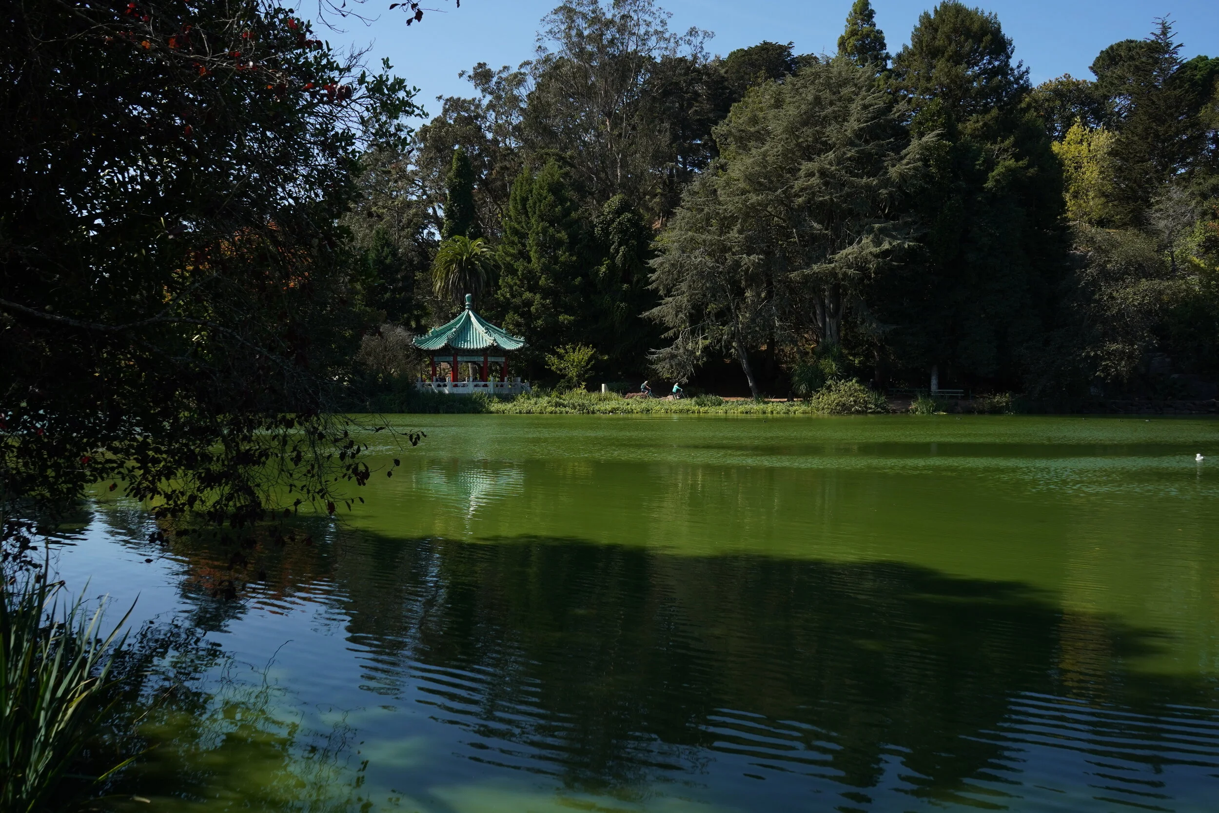 Sorry It's Not Wednesday Morning Anymore