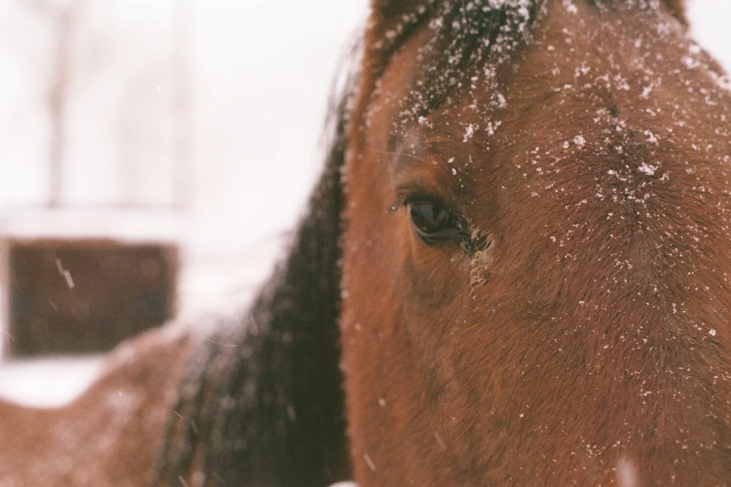 It's Beginning to Feel a Lot Like Sickness