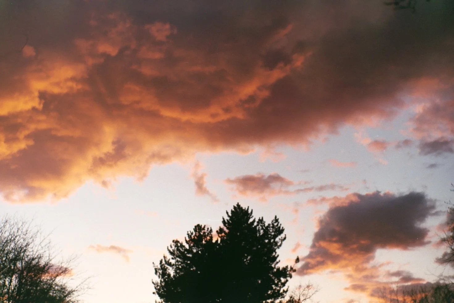 Sunset sky with orange and pink clouds above silhouetted trees.
